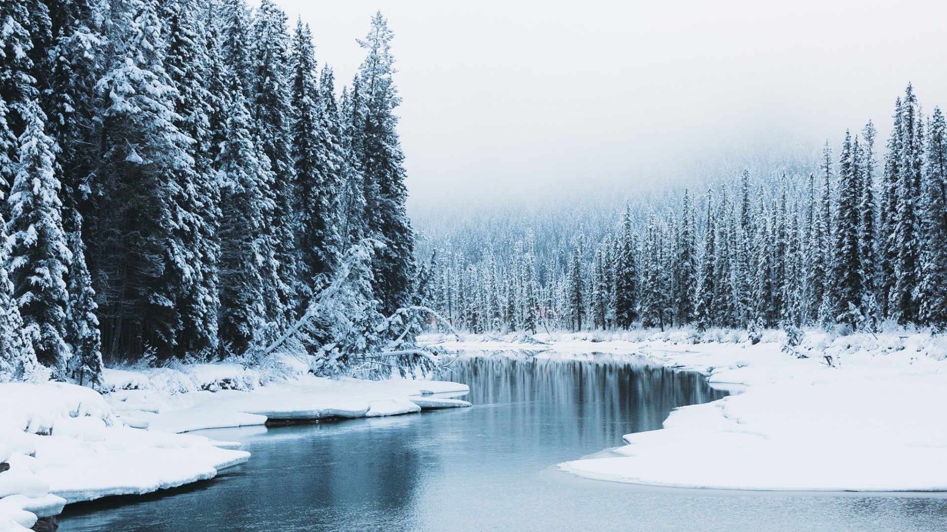 Обои река, снег, природа, лес, зима, канада, river, snow, nature, forest, winter, canada разрешение 1920x1200 Загрузить