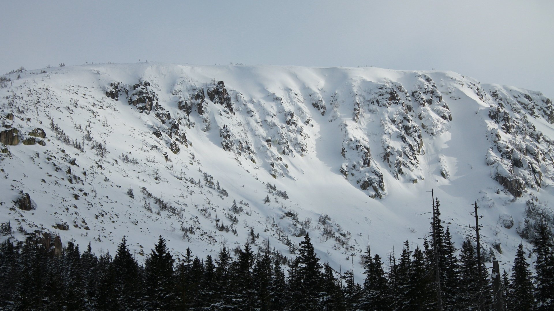 Обои горы, природа, лес, снежные вершины, mountains, nature, forest, snowy peaks разрешение 3840x2560 Загрузить