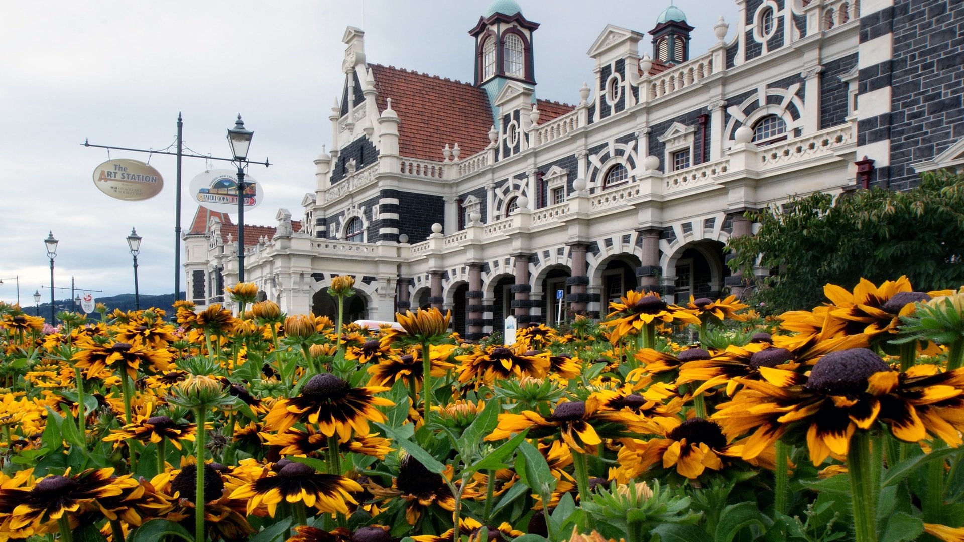 Обои цветы, архитектура, новая зеландия, рудбекия, данидин, flowers, architecture, new zealand, rudbeckia, dunedin разрешение 2400x1587 Загрузить