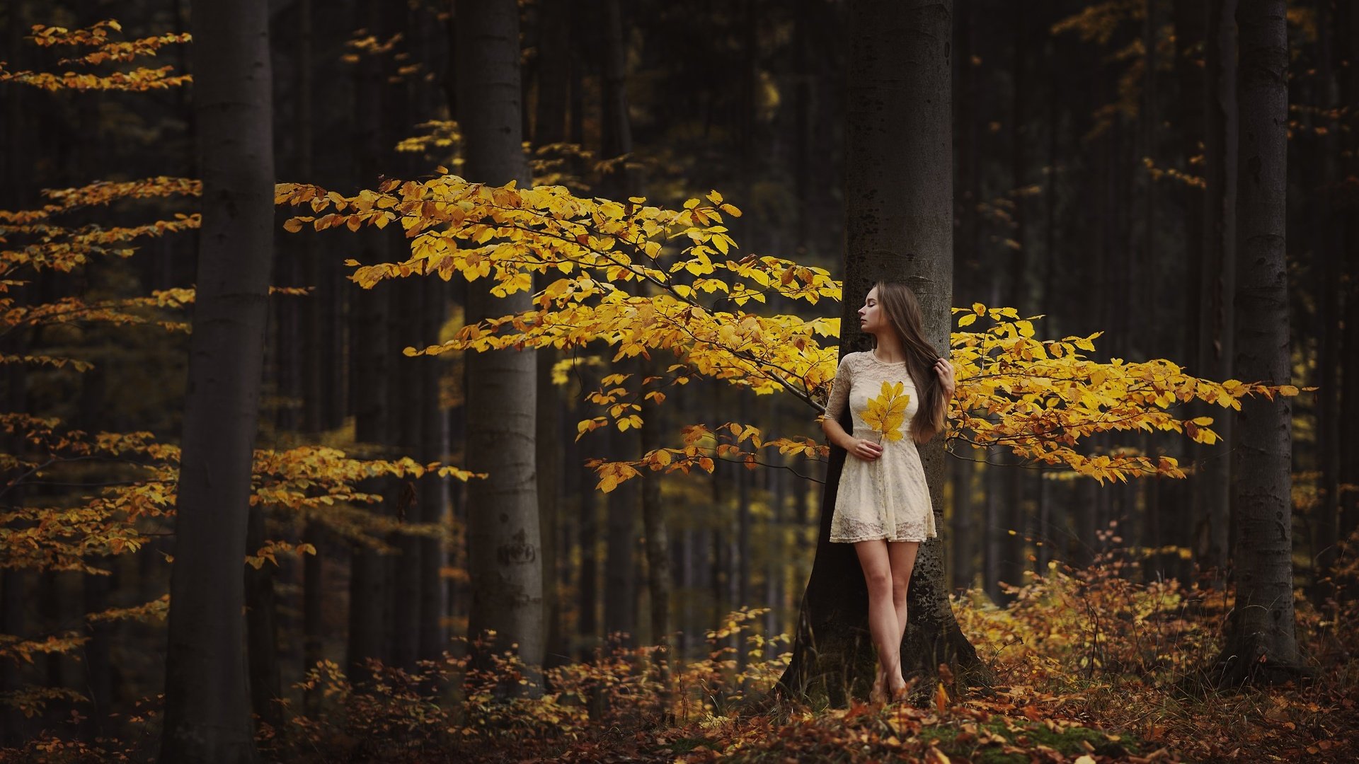 Обои деревья, лес, листья, девушка, настроение, осень, trees, forest, leaves, girl, mood, autumn разрешение 2048x1463 Загрузить