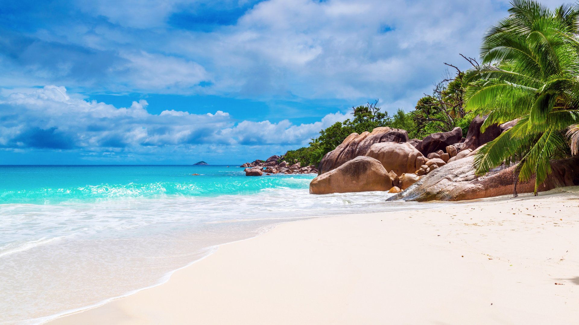 Обои море, пляж, тропики, сейшелы, sea, beach, tropics, seychelles разрешение 6605x4408 Загрузить