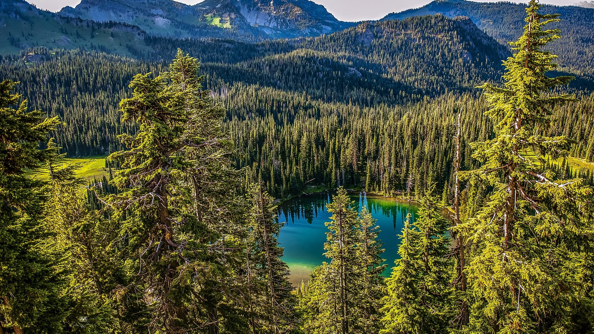 Обои деревья, озеро, горы, лес, канада, mt. rainier national park, trees, lake, mountains, forest, canada разрешение 3005x2000 Загрузить