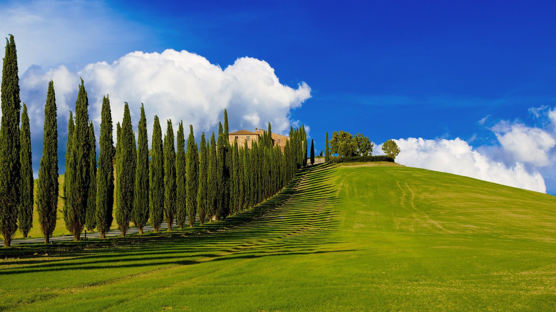 Обои холмы, пейзаж, италия, ферма, тоскана, кипарисы, hills, landscape, italy, farm, tuscany, cypress разрешение 1920x1200 Загрузить