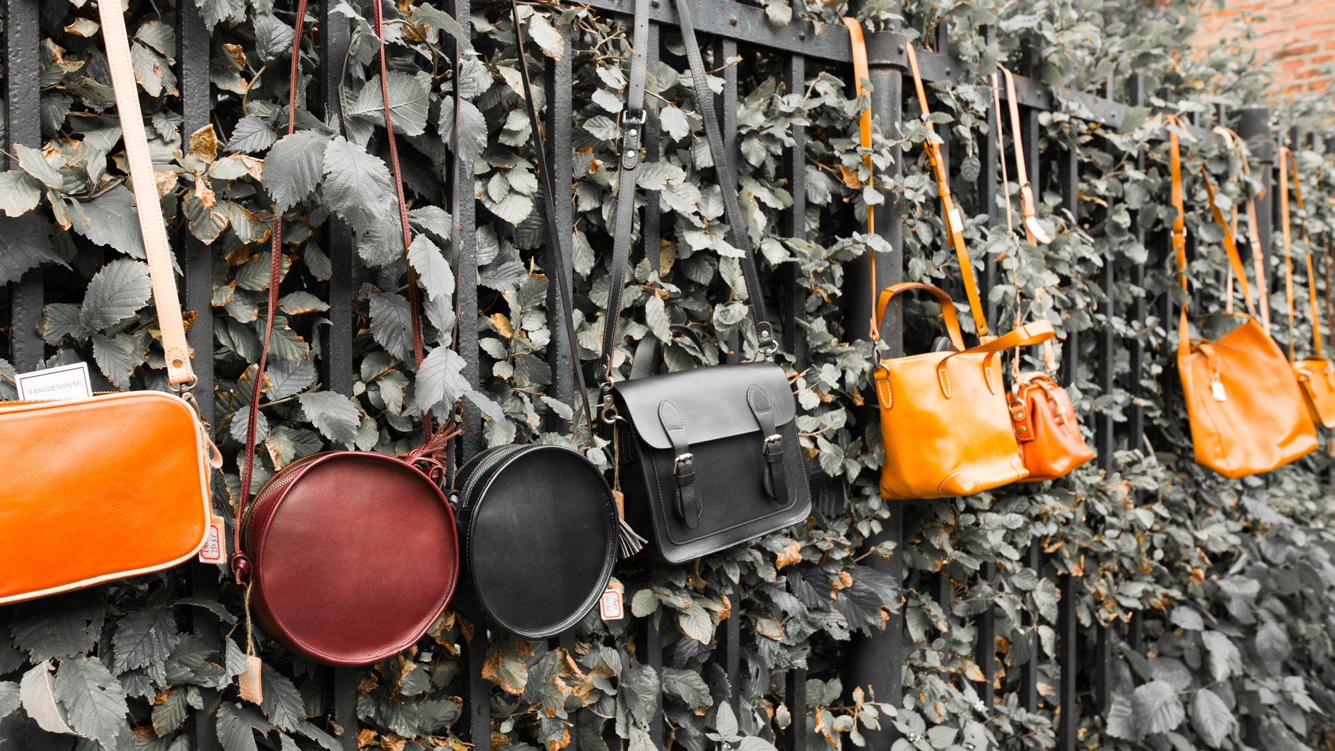 Обои растения, листья, забор, ограда, сумки, сумочки, berit k. prohaszka, plants, leaves, the fence, fence, bags, handbags разрешение 6392x4125 Загрузить