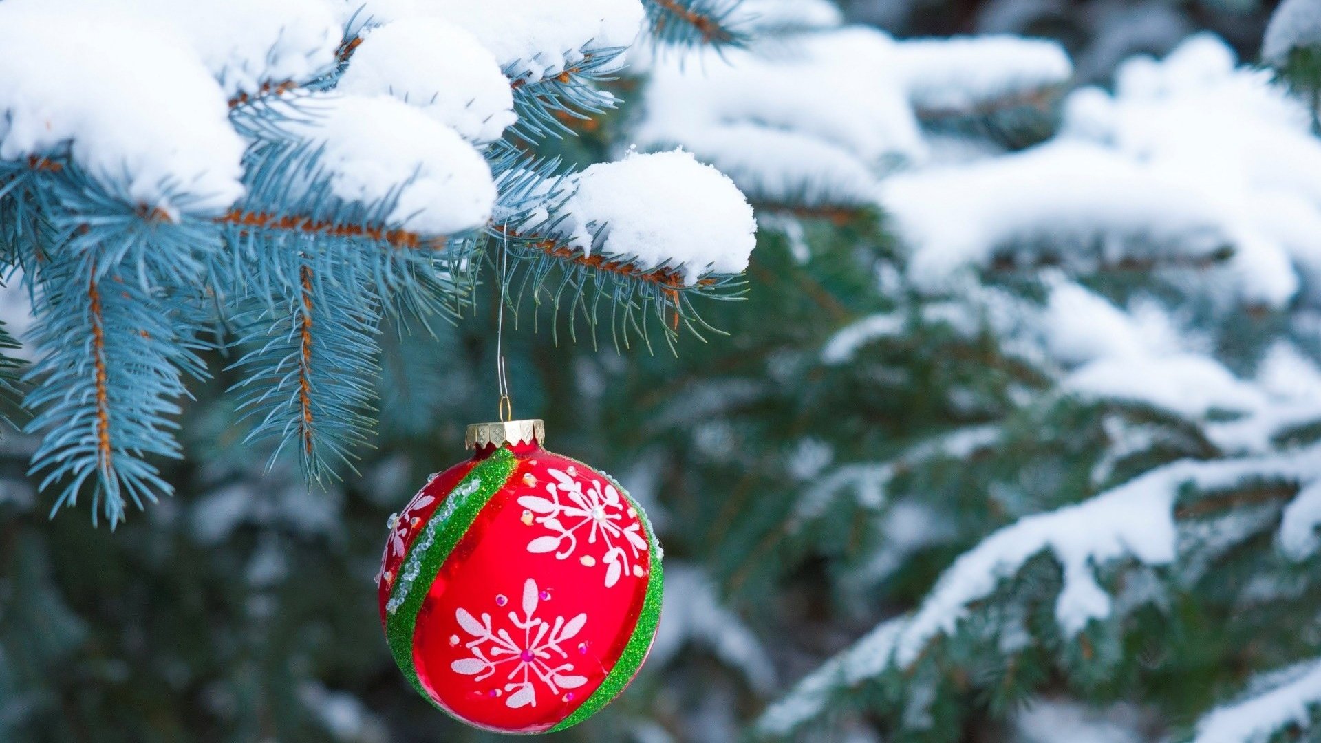 Обои снег, новый год, елка, хвоя, шар, рождество, елочная игрушка, snow, new year, tree, needles, ball, christmas, christmas toy разрешение 1920x1200 Загрузить