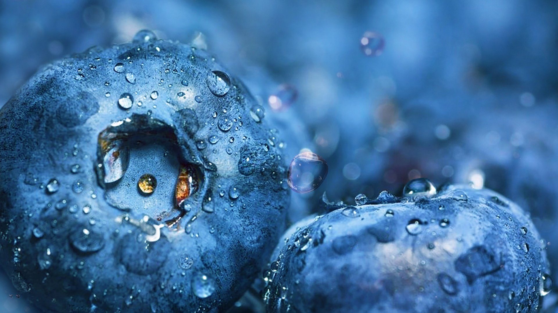 Обои вода, макро, капли, ягоды, черника, dashakern, water, macro, drops, berries, blueberries разрешение 4800x3020 Загрузить