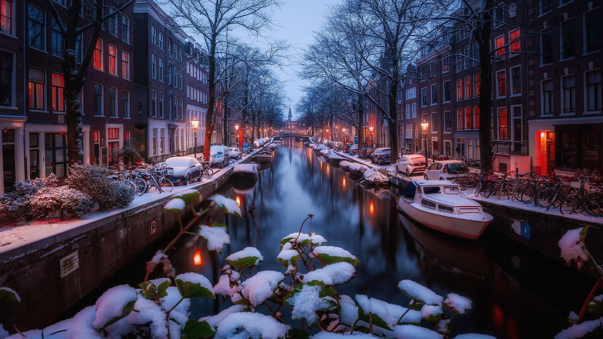 Обои свет, огни, снег, зима, утро, канал, амстердам, light, lights, snow, winter, morning, channel, amsterdam разрешение 1920x1280 Загрузить