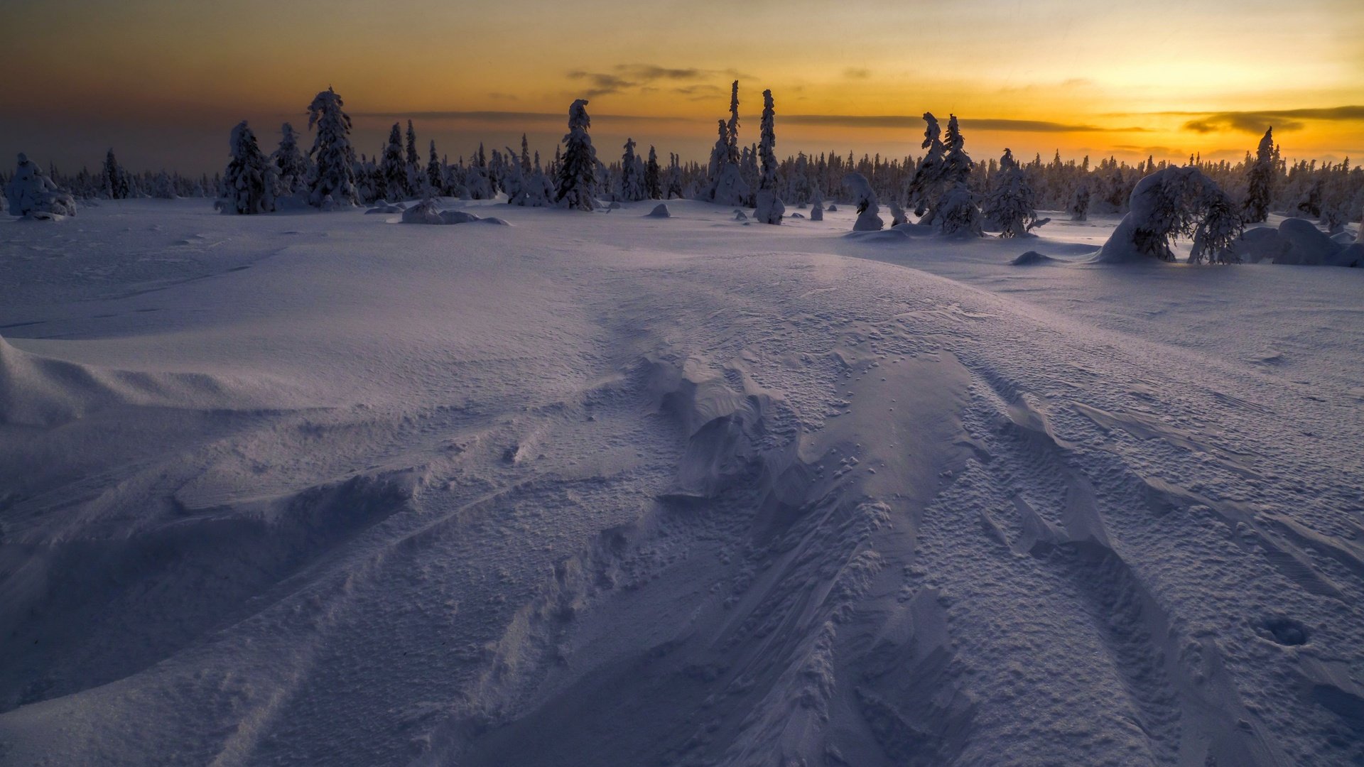 Обои ночь, снег, зима, поле, night, snow, winter, field разрешение 3840x2160 Загрузить