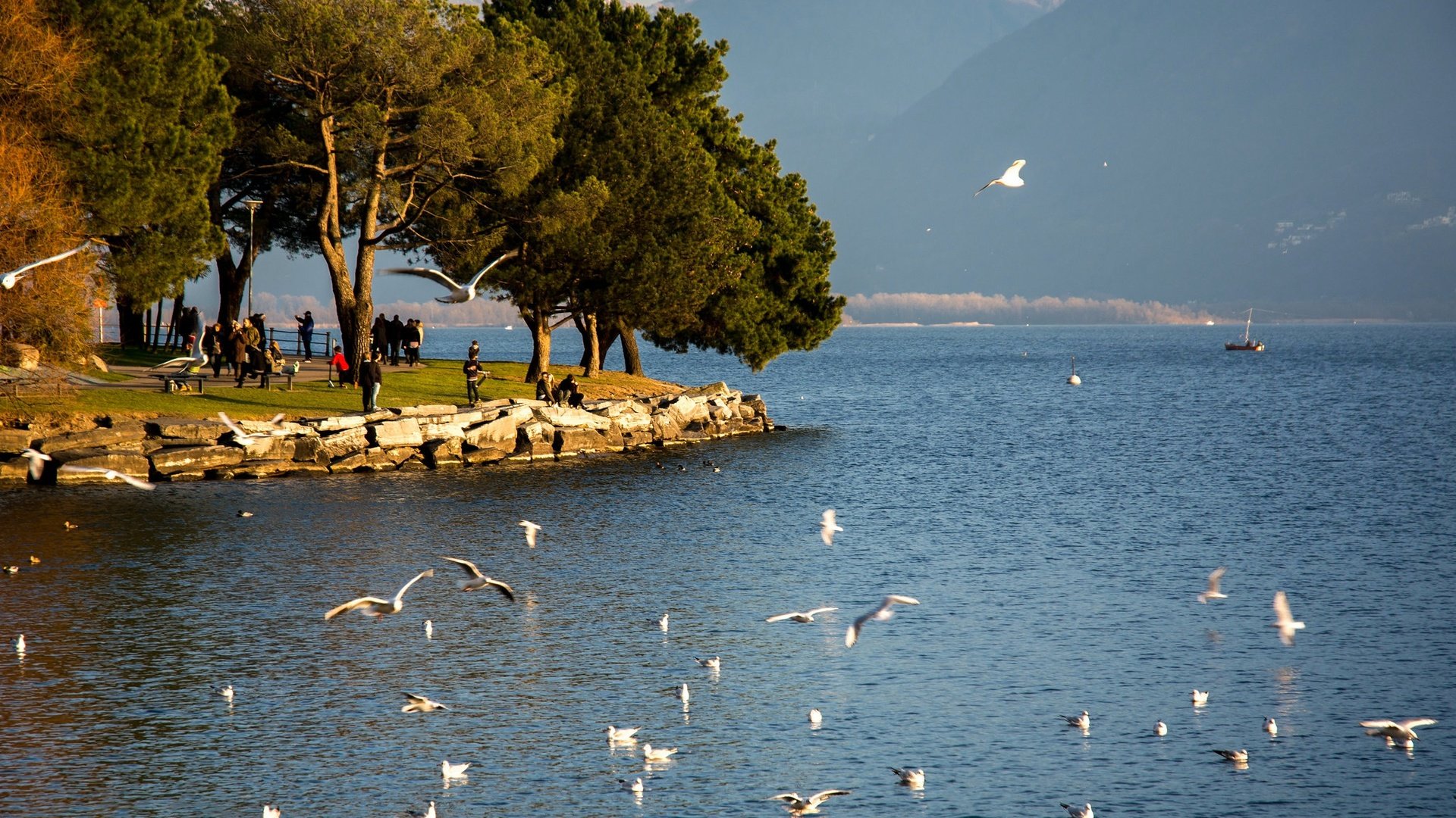 Обои озеро, швейцария, маджоре, lake, switzerland, maggiore разрешение 2047x1365 Загрузить