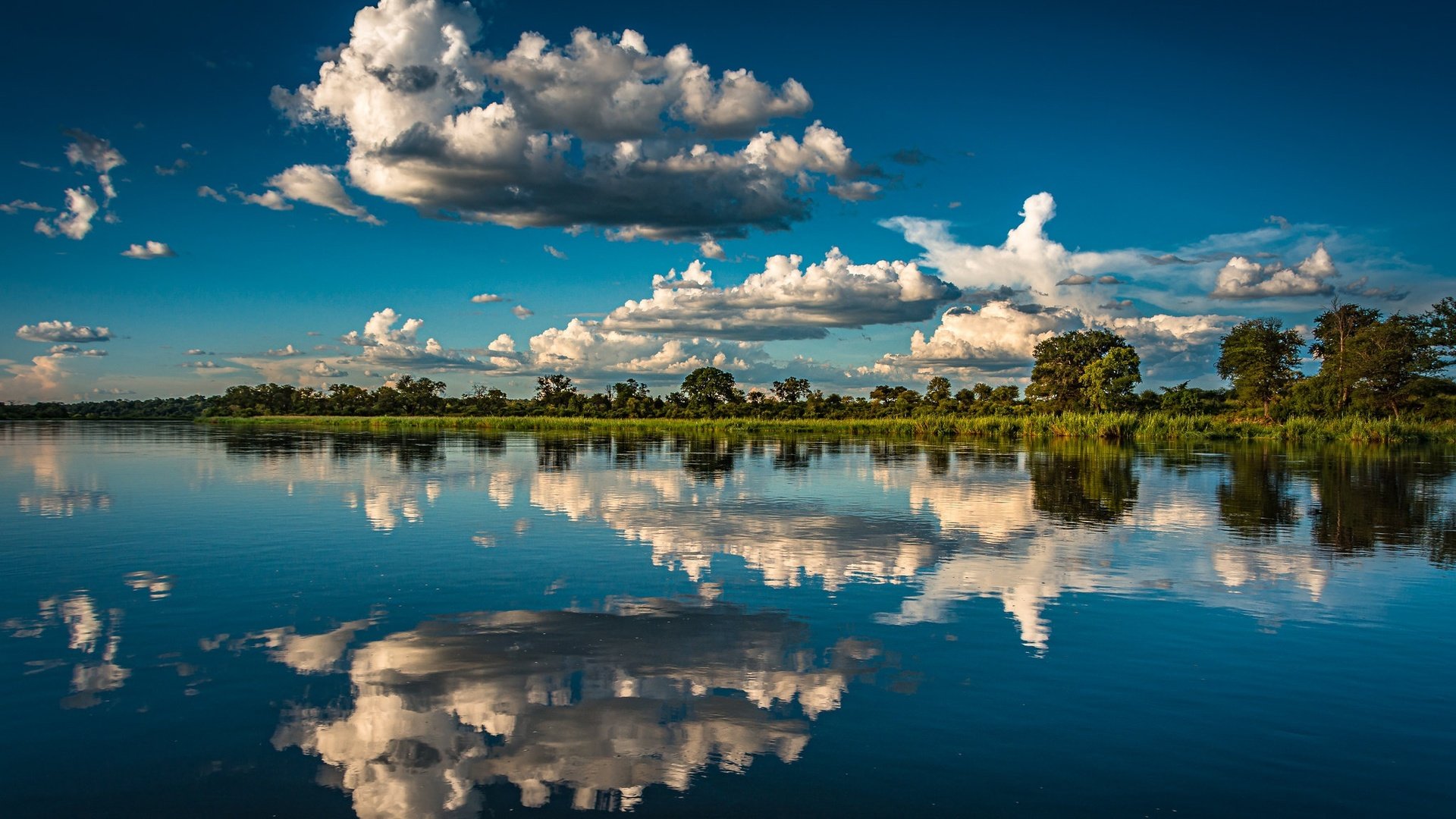 Обои облака, деревья, река, отражение, африка, намибия, река окаванго, okavango river, полоса каприви, caprivi strip, clouds, trees, river, reflection, africa, namibia разрешение 2048x1280 Загрузить