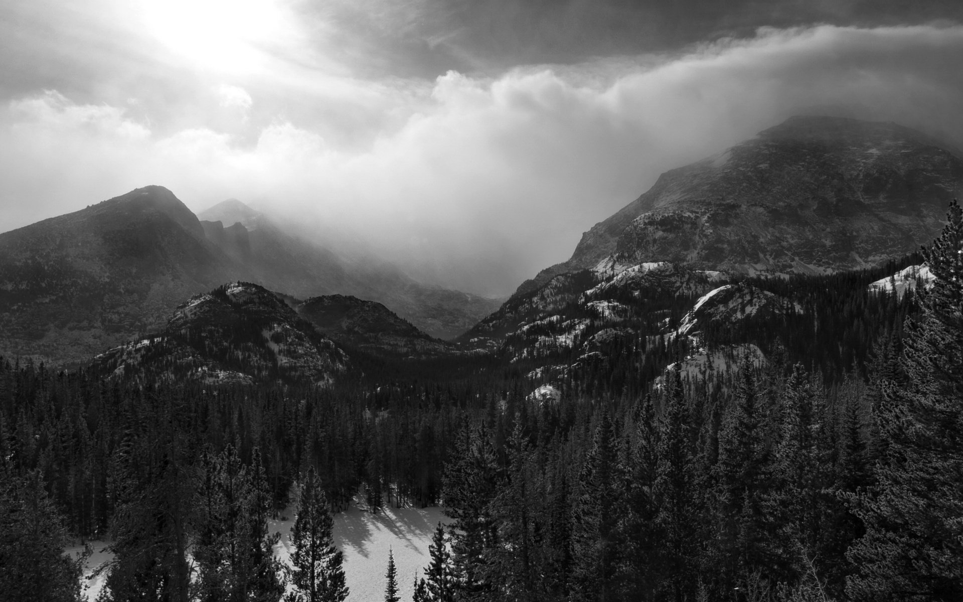 Обои горы, лес, черно-белая, mountains, forest, black and white разрешение 2560x1656 Загрузить