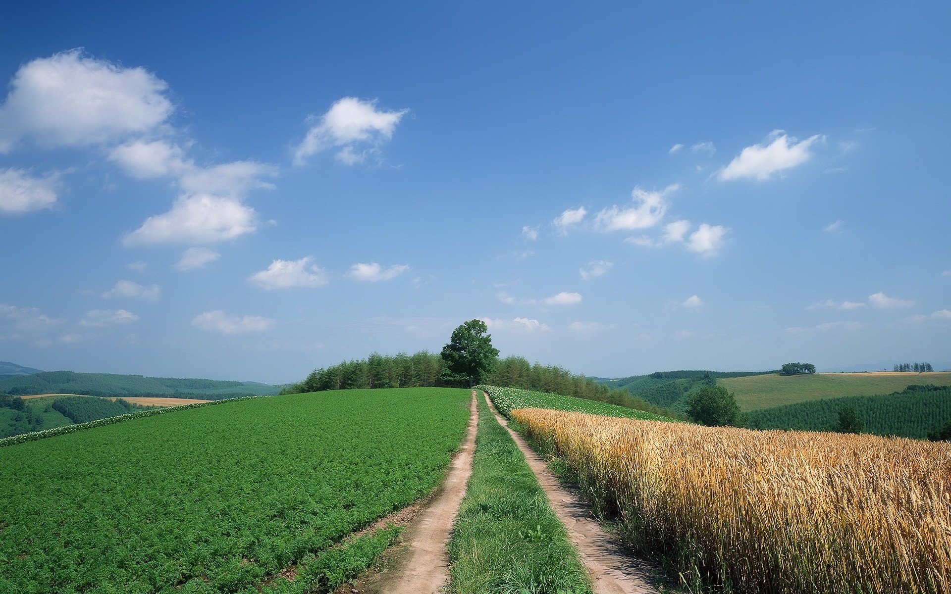 Обои небо, дорога, облака, деревья, холмы, поле, the sky, road, clouds, trees, hills, field разрешение 1920x1440 Загрузить