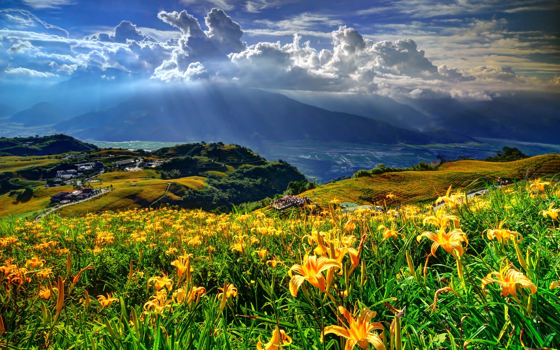 Обои цветы, облака, горы, лучи солнца, склон, лилии, селение, flowers, clouds, mountains, the rays of the sun, slope, lily, the village разрешение 2048x1356 Загрузить