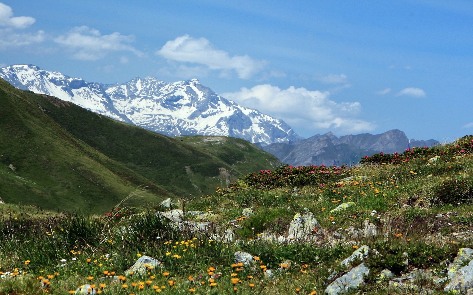 Обои италия, перевал пенсер-йох, italy, pass spencer-joch разрешение 2560x1440 Загрузить