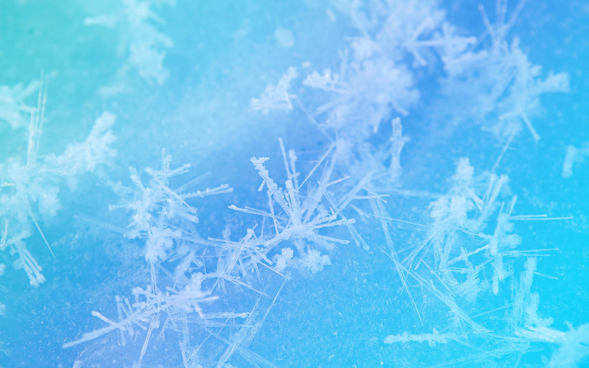 Обои снежинки, зимний узор, голубая текстура, snowflakes, winter pattern, blue texture разрешение 2560x1600 Загрузить