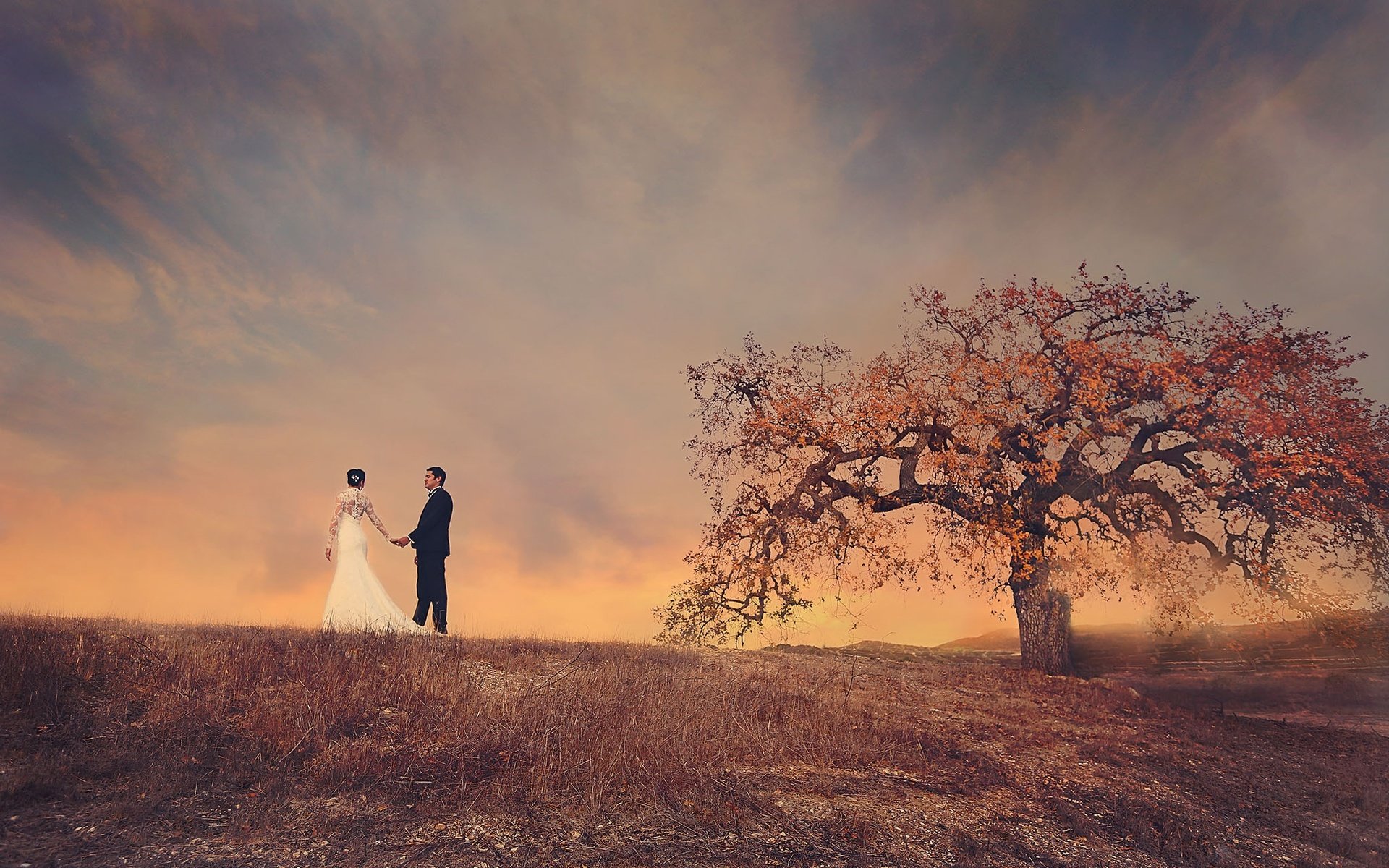 Обои небо, дерево, поле, пара, жених, невеста, свадебное платье, the sky, tree, field, pair, the groom, the bride, wedding dress разрешение 2048x1408 Загрузить