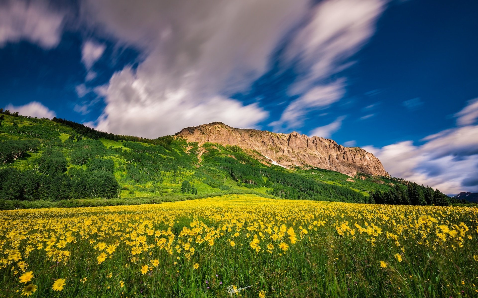 Обои цветы, облака, горы, луг, колорадо, crested butte mountain resort, flowers, clouds, mountains, meadow, colorado разрешение 2048x1280 Загрузить