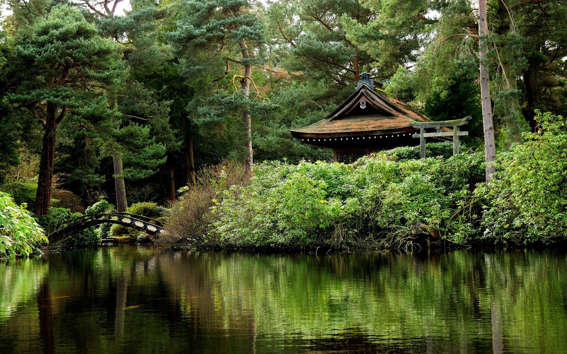 Обои деревья, зелень, мостик, парк, англия, пруд, беседка, tatton park, trees, greens, the bridge, park, england, pond, gazebo разрешение 2635x1750 Загрузить