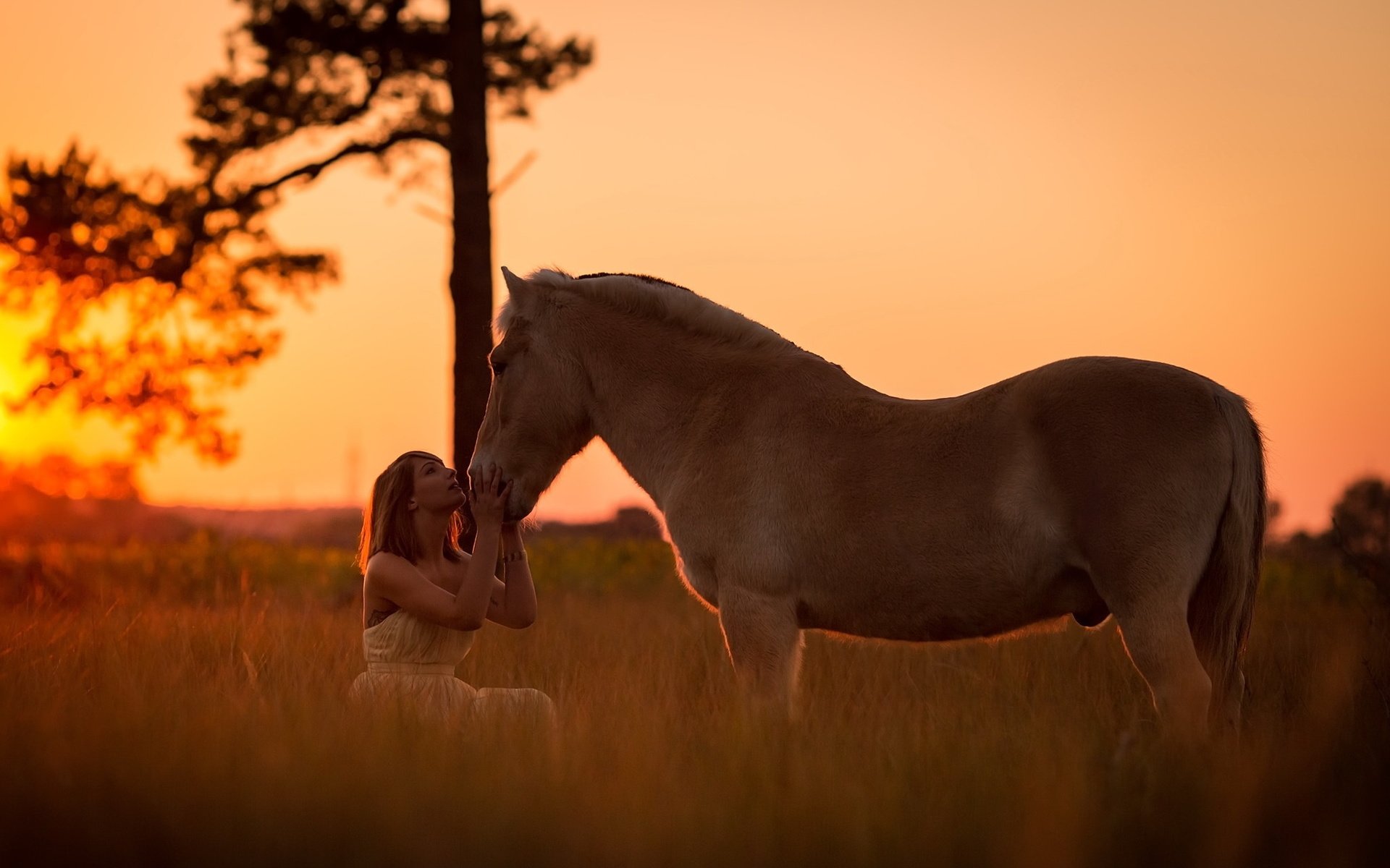 Обои закат, девушка, настроение, конь, sunset, girl, mood, horse разрешение 2047x1301 Загрузить