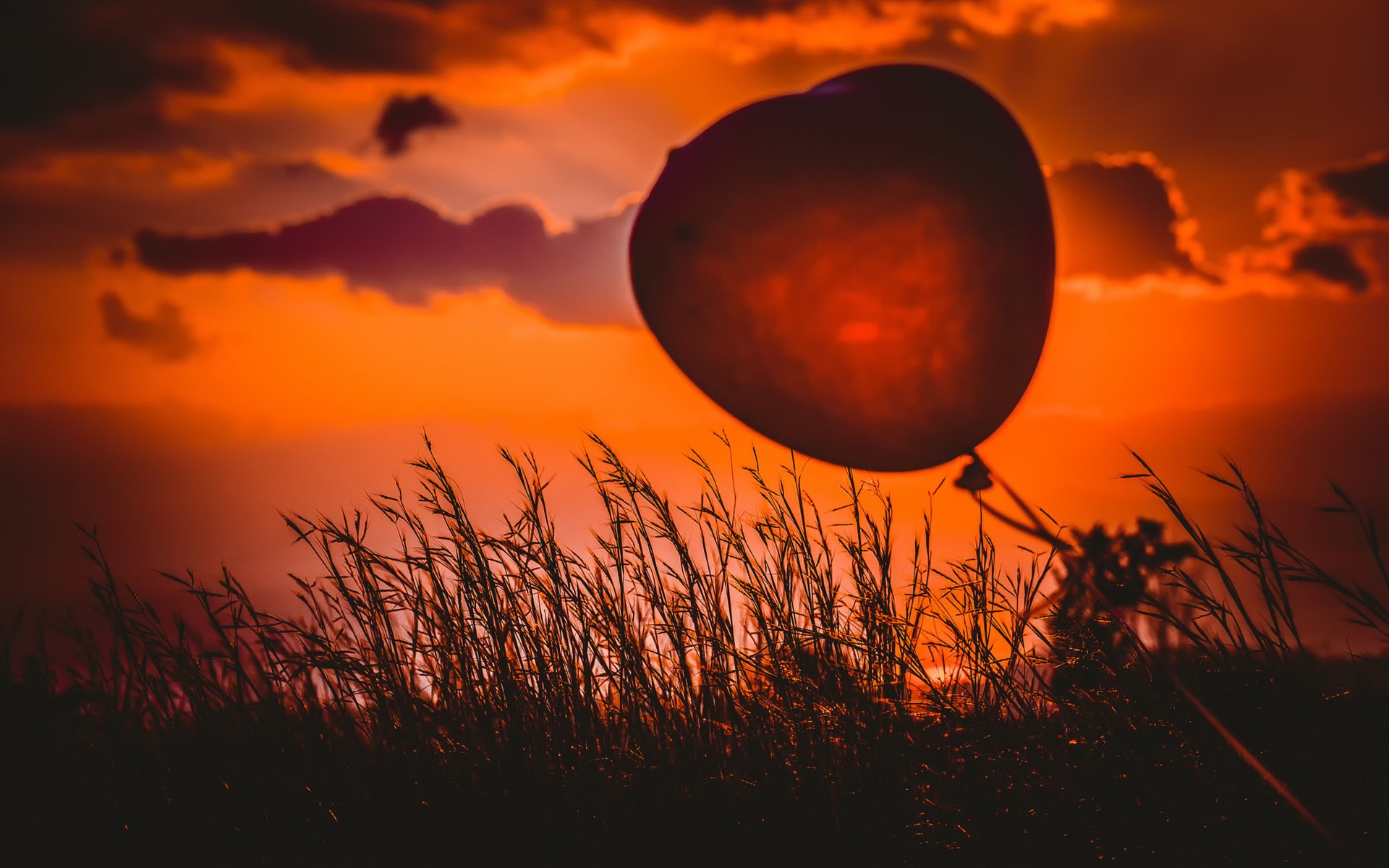 Обои трава, закат, сердце, шарик, heart balloon, grass, sunset, heart, ball разрешение 2048x1365 Загрузить