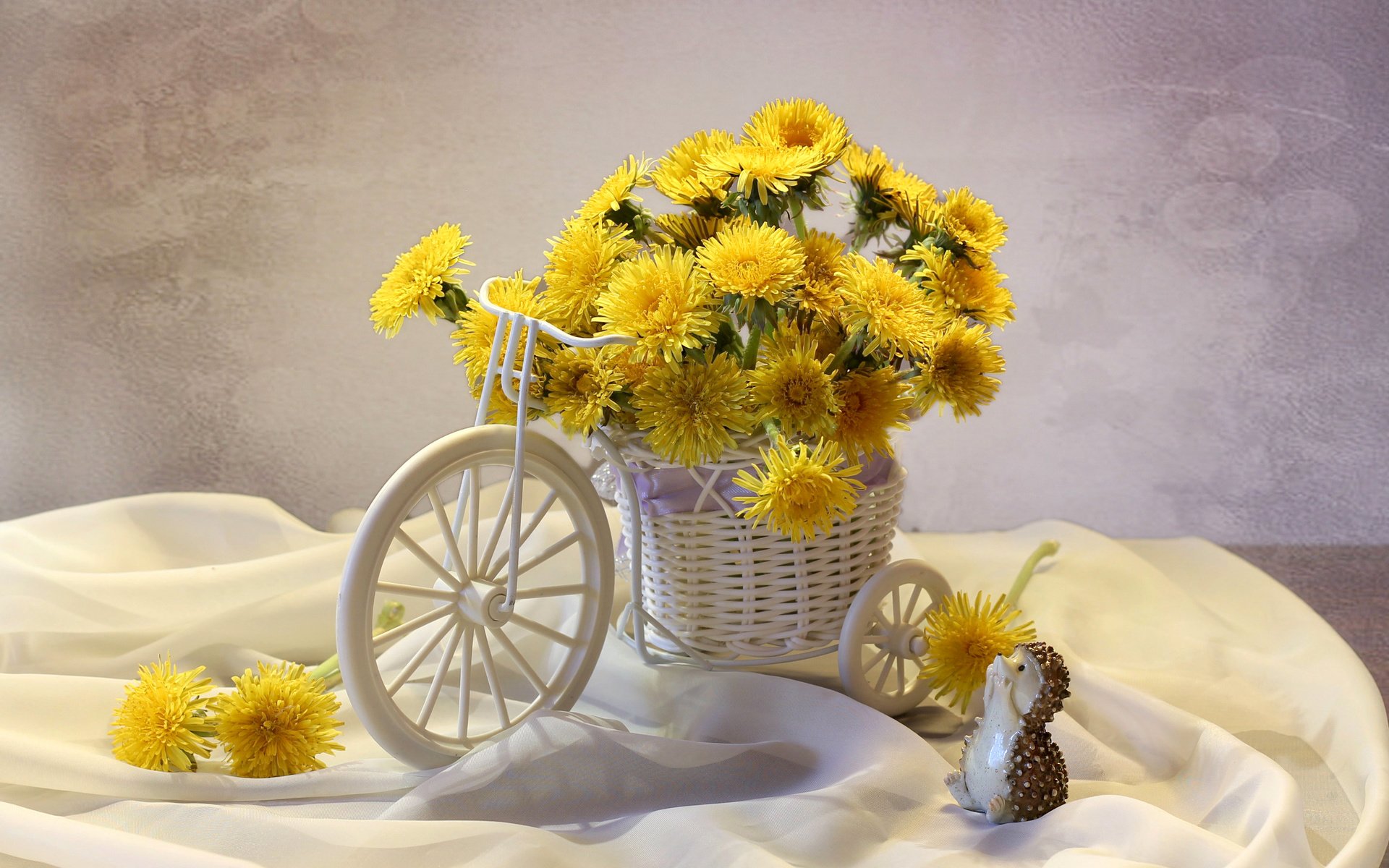 Обои желтый, одуванчики, ежик, тачка, yellow, dandelions, hedgehog, car разрешение 2870x1855 Загрузить