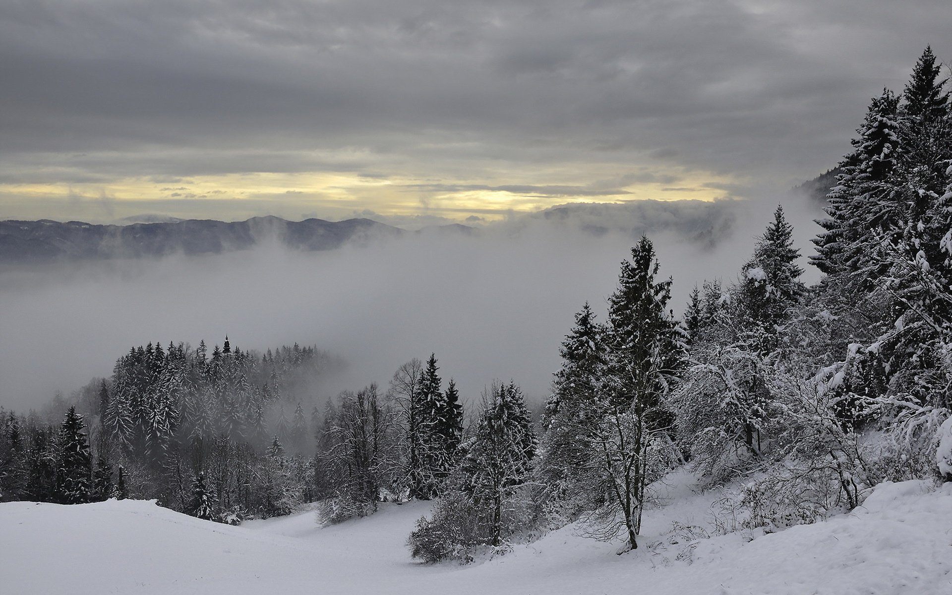 Обои деревья, горы, снег, зима, туман, trees, mountains, snow, winter, fog разрешение 1920x1280 Загрузить