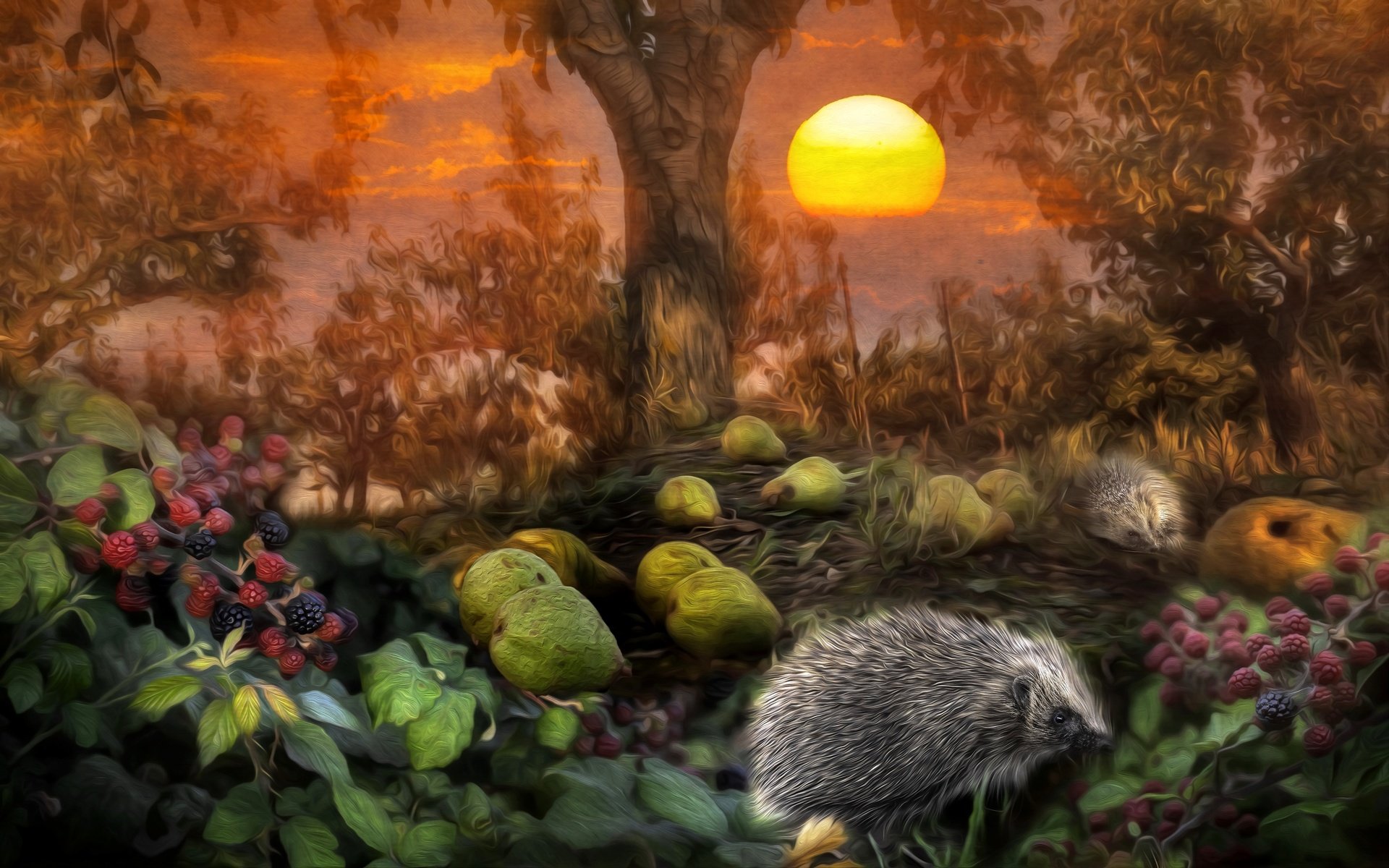 Обои деревья, солнце, лес, листья, ежик, ежевика, груши, trees, the sun, forest, leaves, hedgehog, blackberry, pear разрешение 3600x2249 Загрузить