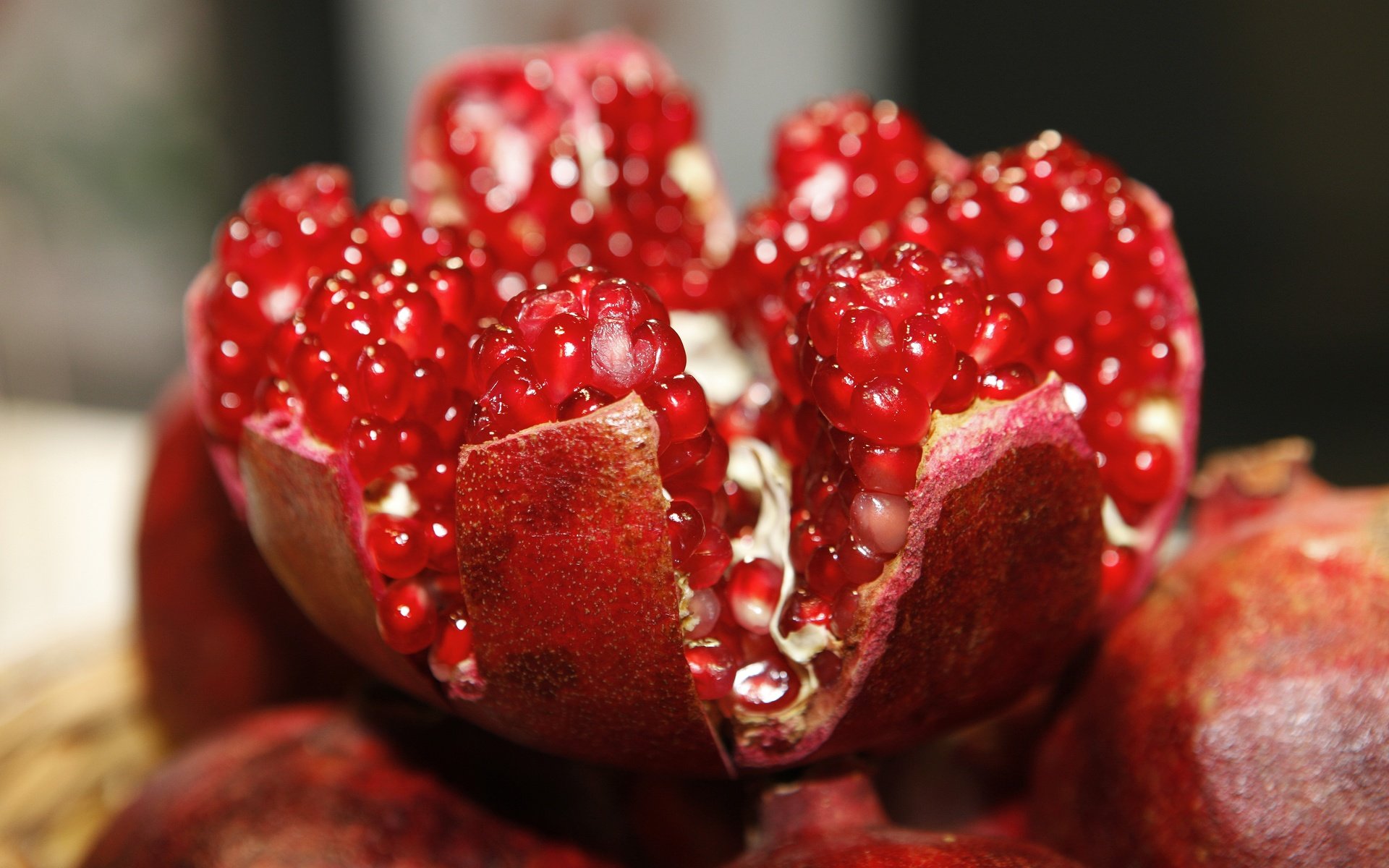 Обои макро, фрукты, зерна, гранат, pomegranates, fruchthandel_magazin, macro, fruit, grain, garnet разрешение 5616x3744 Загрузить