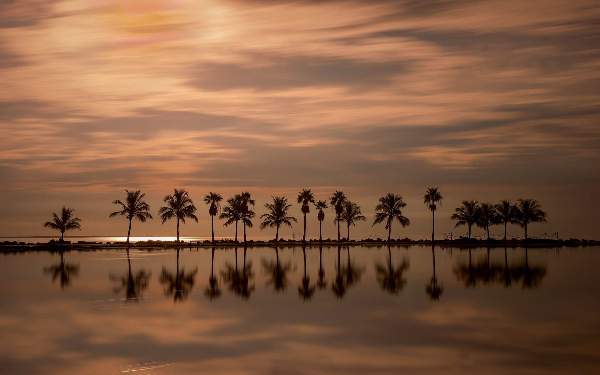 Обои вечер, закат, отражение, пальмы, океан, гладь, флорида, майами, the evening, sunset, reflection, palm trees, the ocean, surface, fl, miami разрешение 2560x1594 Загрузить