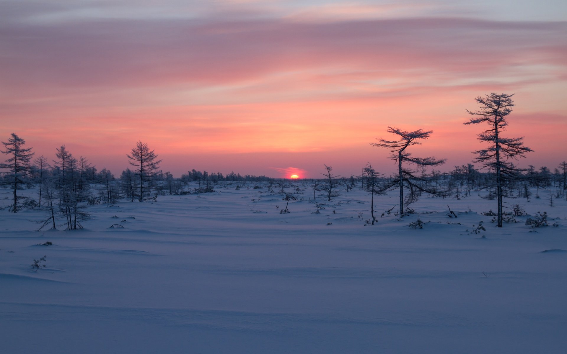 Обои деревья, восход, снег, зима, рассвет, россия, сахалин, trees, sunrise, snow, winter, dawn, russia, sakhalin разрешение 3600x2400 Загрузить