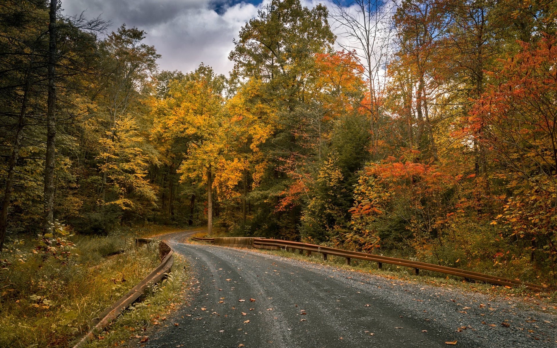 Обои дорога, деревья, листья, осень, road, trees, leaves, autumn разрешение 2048x1316 Загрузить