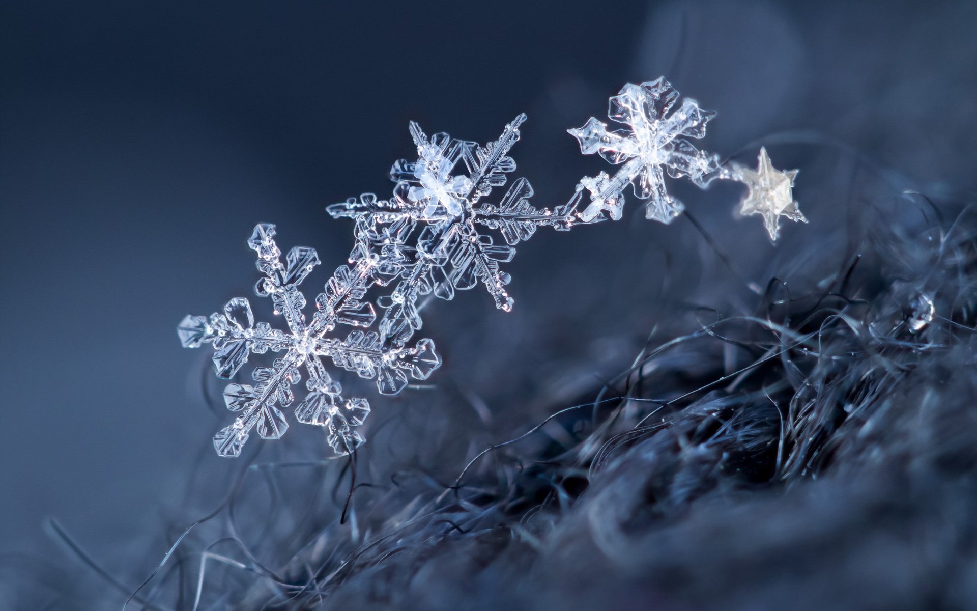 Обои макро, снежинки, фон, снежинка, кристаллы, macro, snowflakes, background, snowflake, crystals разрешение 2560x1707 Загрузить