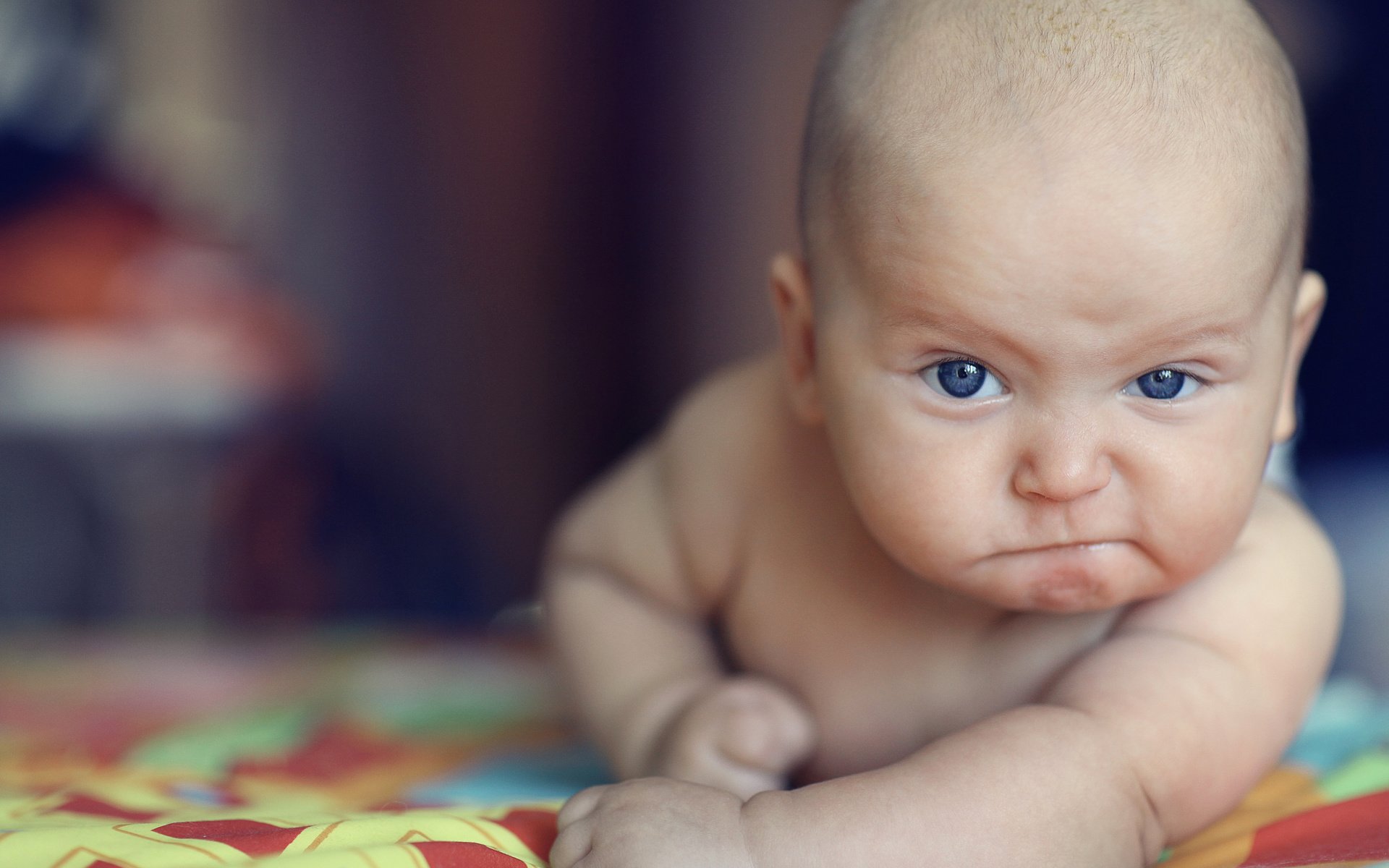 Обои глаза, портрет, взгляд, лежит, ребенок, малыш, мимика, eyes, portrait, look, lies, child, baby, facial expressions разрешение 4000x2667 Загрузить