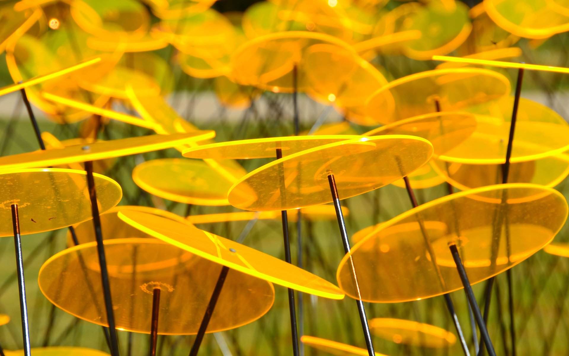 Обои желтый, сад, пластины, круг, диск, скульптура, yellow, garden, plate, round, disk, sculpture разрешение 3840x2400 Загрузить