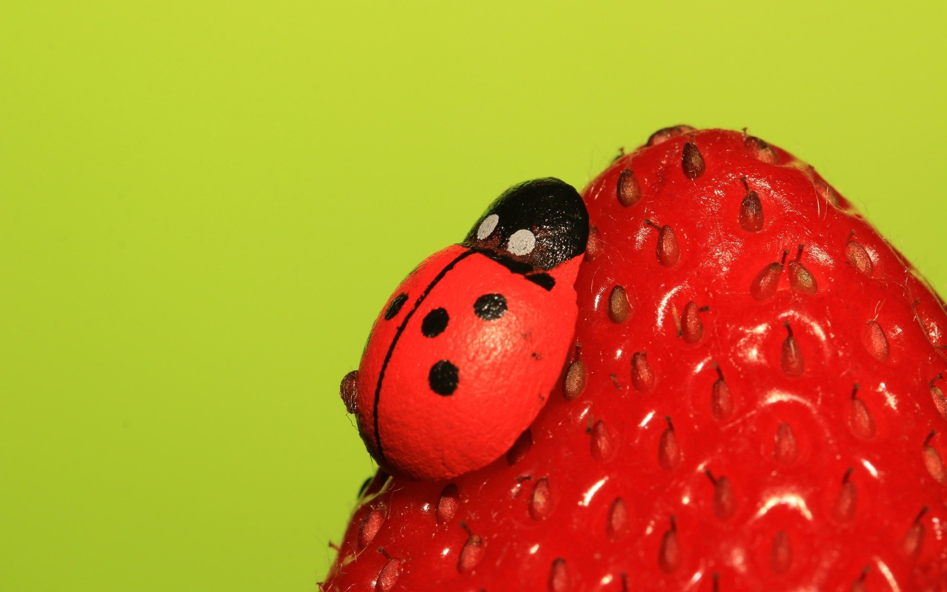 Обои насекомое, ягода, клубника, божья коровка, insect, berry, strawberry, ladybug разрешение 2048x1365 Загрузить