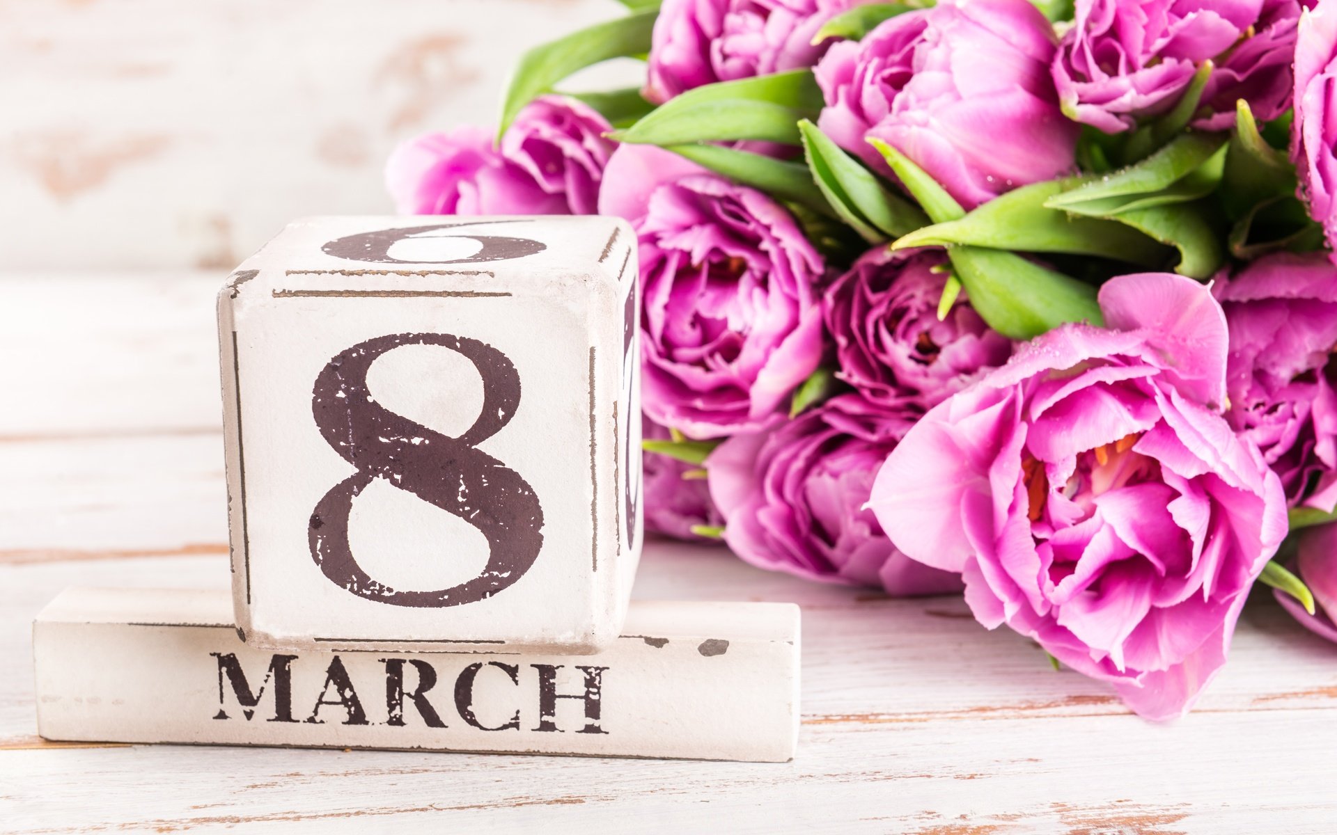 Обои тюльпаны, розовые, 8 марта, tulips, pink, march 8 разрешение 5798x3870 Загрузить