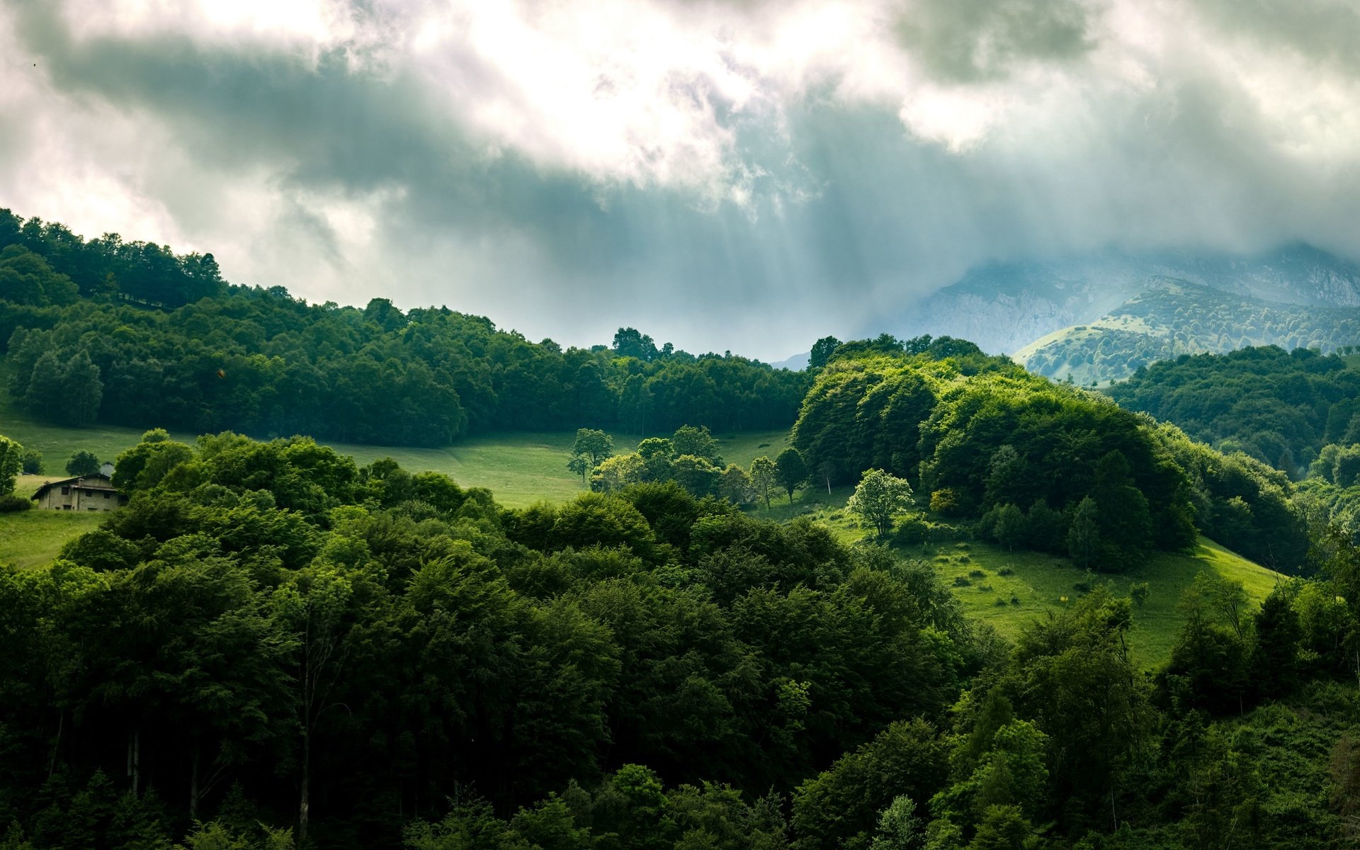 Обои небо, деревья, лес, лучи, the sky, trees, forest, rays разрешение 3840x2160 Загрузить