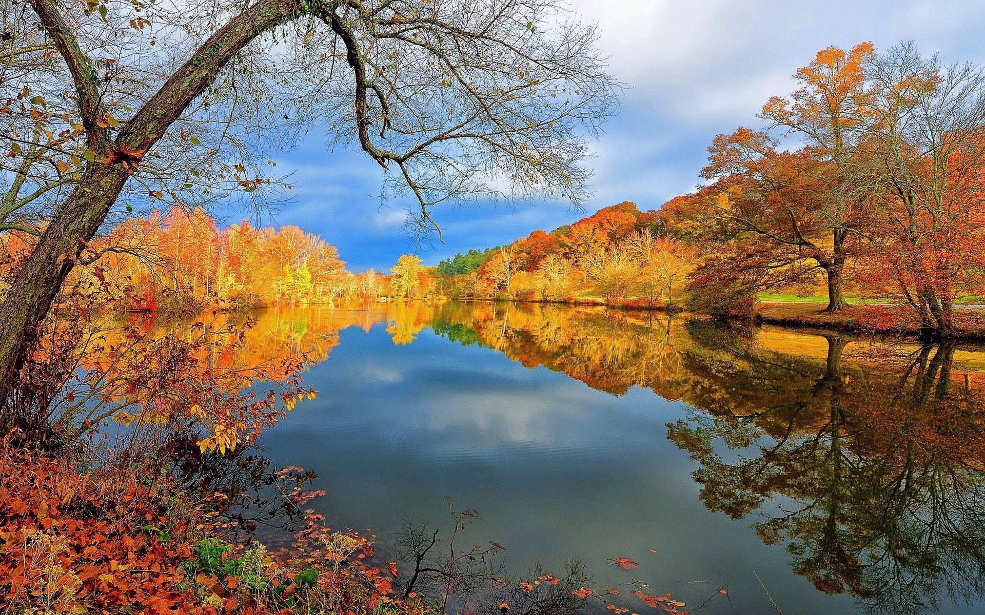 Обои деревья, осень, trees, autumn разрешение 3840x2160 Загрузить