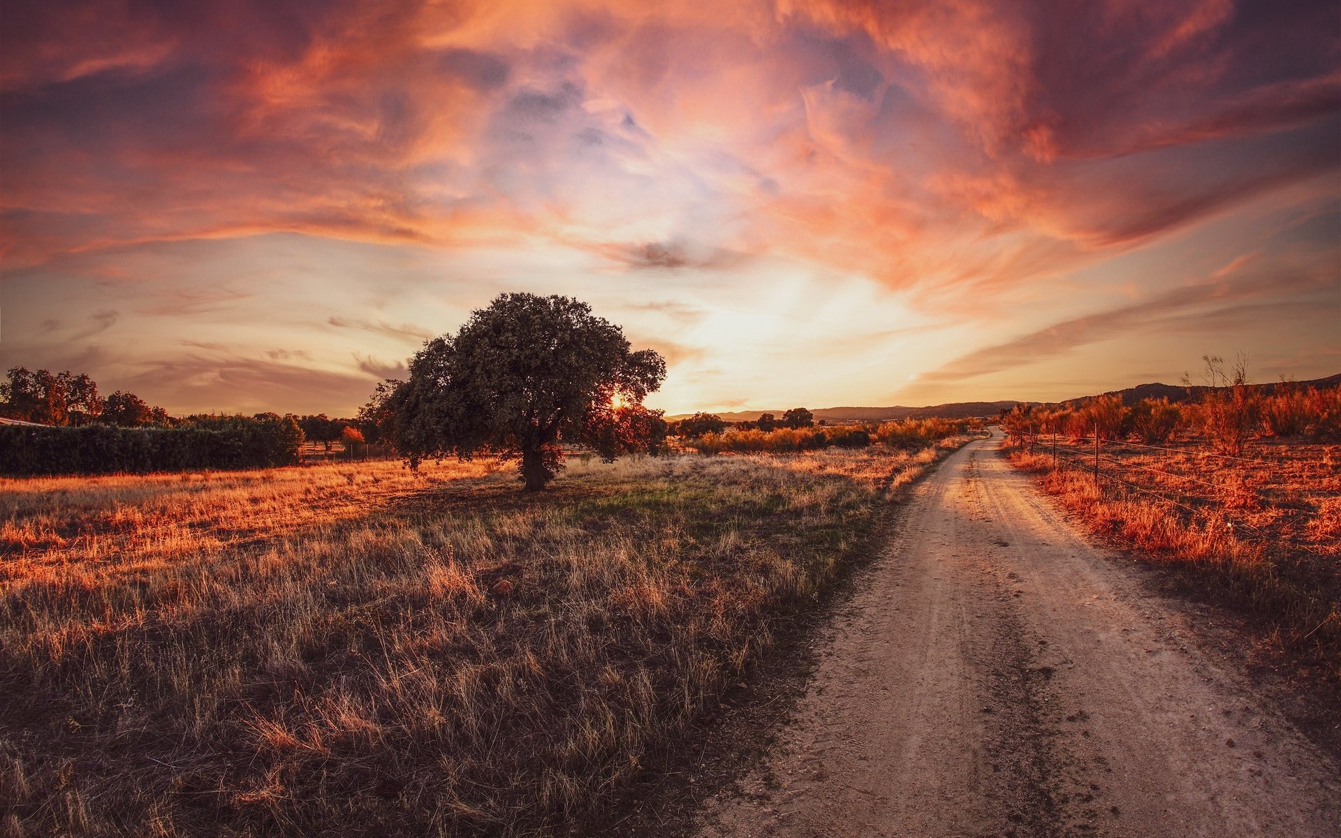 Обои дорога, дерево, закат, road, tree, sunset разрешение 2048x1365 Загрузить