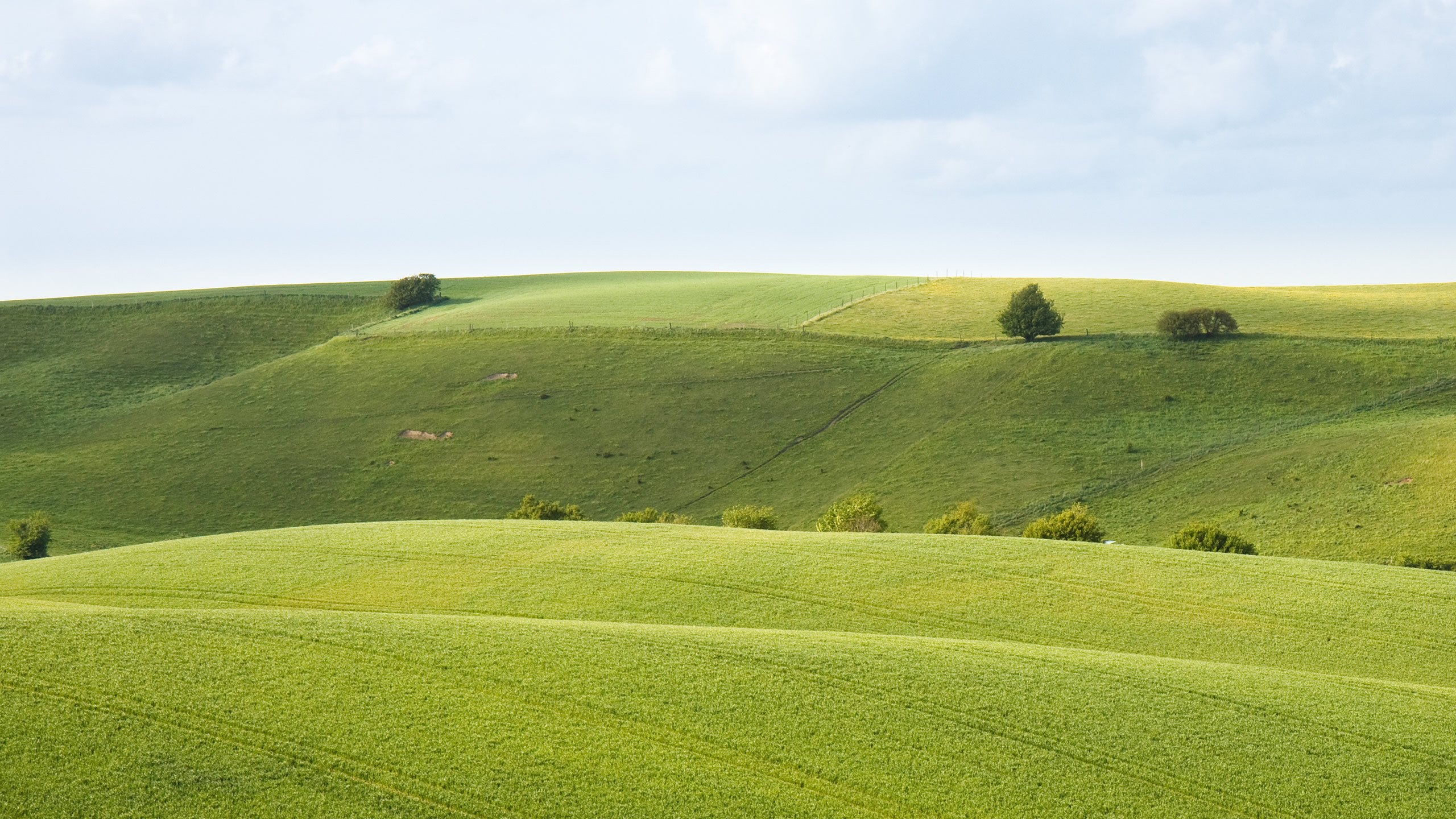 Обои обои, поле, на природе, фоновые рисунки, wallpaper, field, nature, wallpapers разрешение 2560x1600 Загрузить