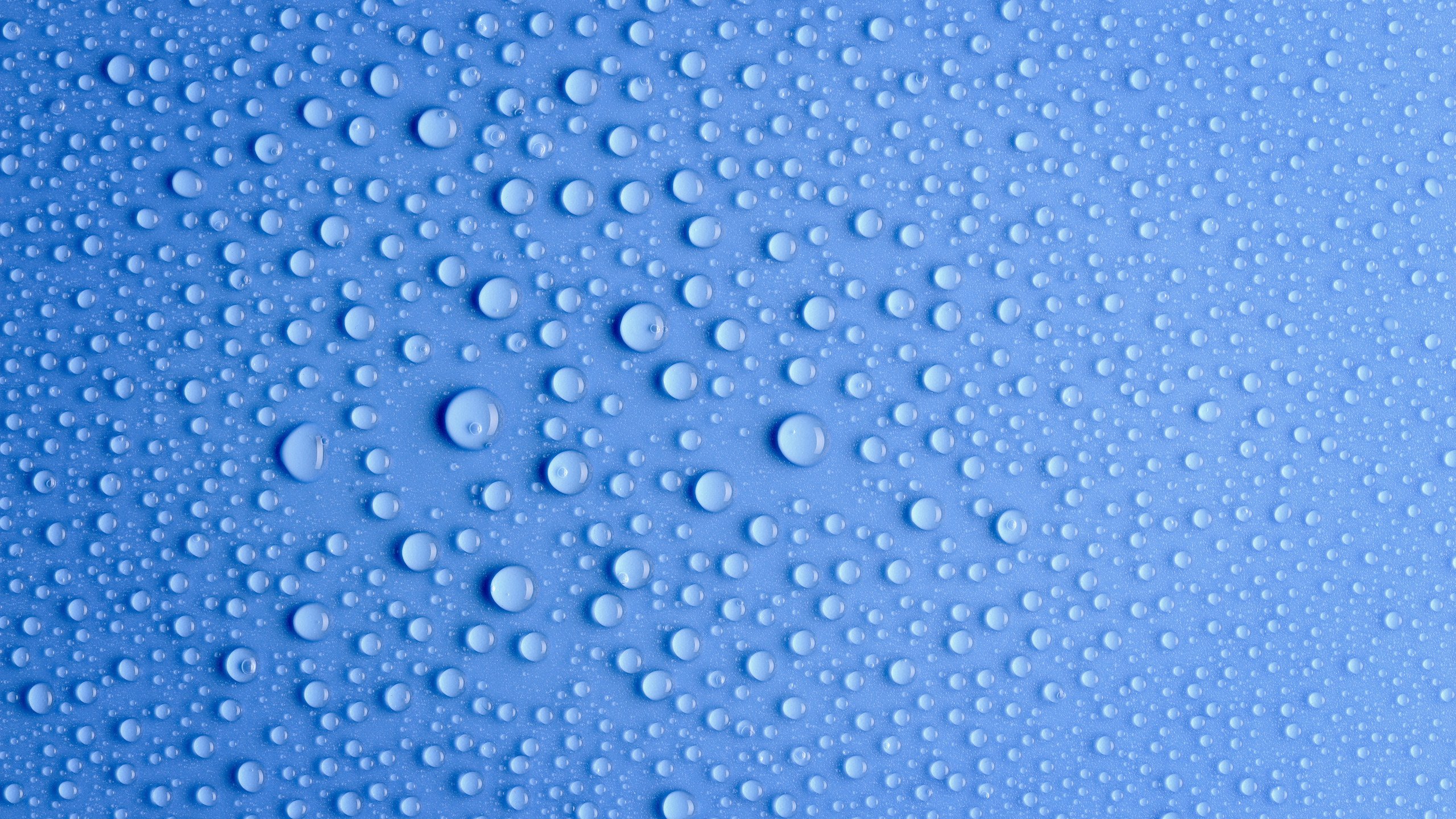 Обои фото, голубой, макро обои, водяные капли, photo, blue, macro wallpaper, water drop разрешение 2560x1600 Загрузить