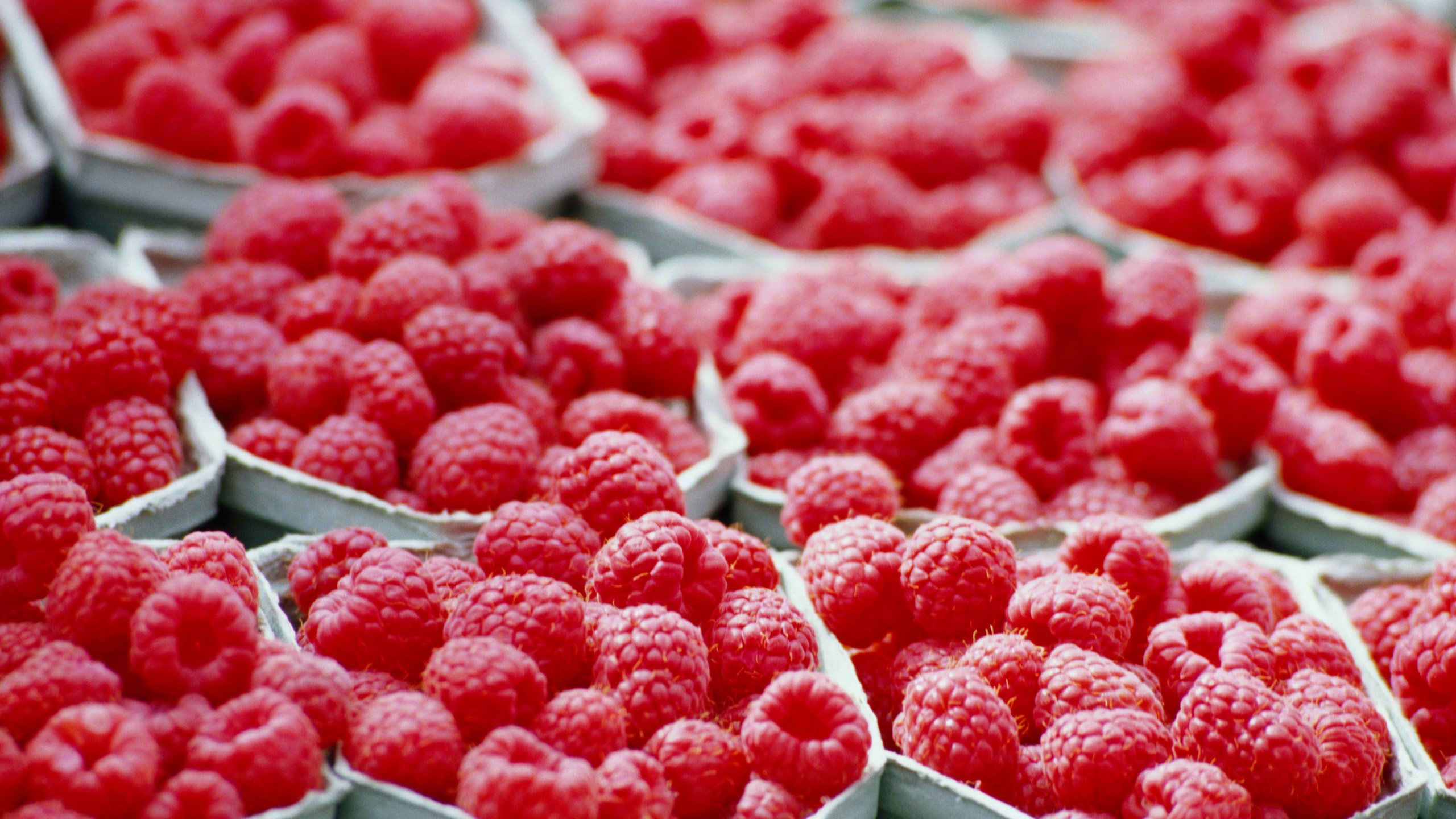 Обои малина, красный, лоток, raspberry, red, tray разрешение 2560x1920 Загрузить