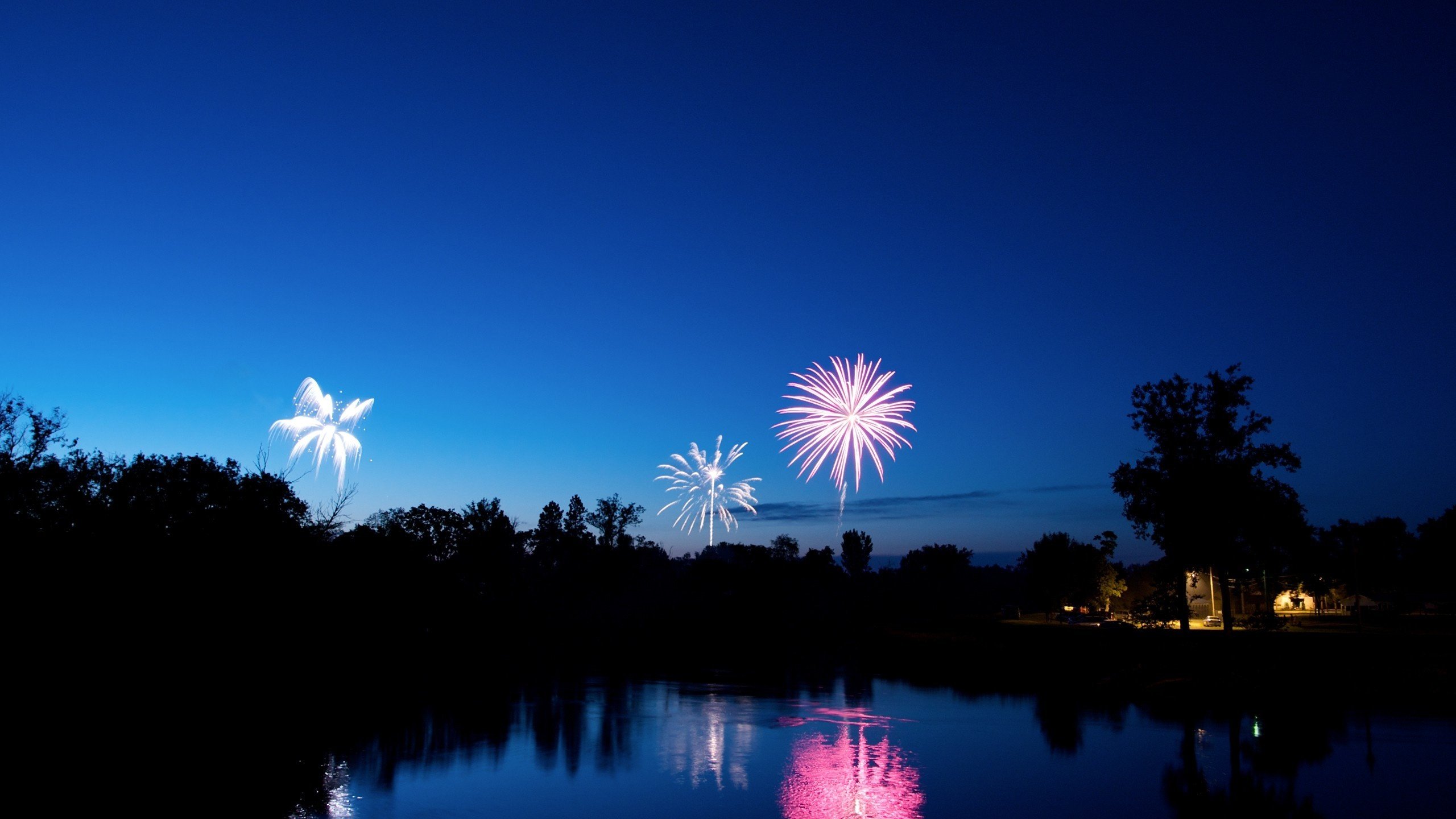Обои вечер, синий, фейерверк, the evening, blue, fireworks разрешение 2560x1600 Загрузить