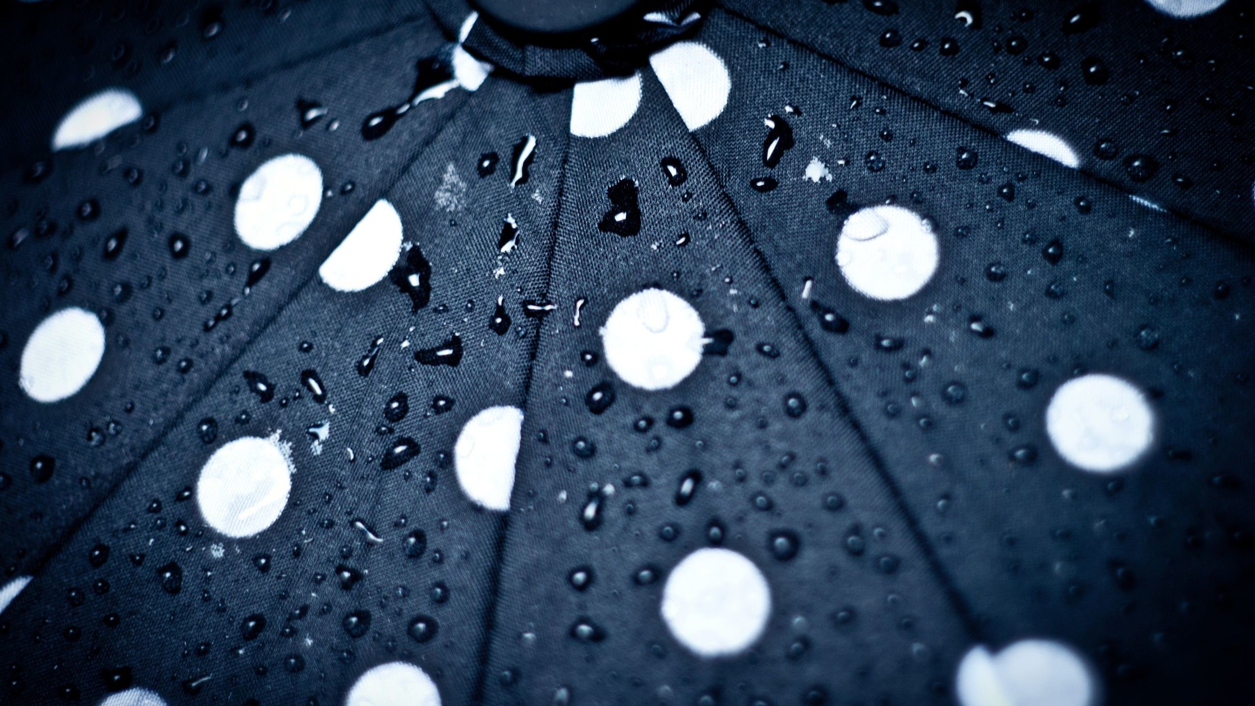 Обои капли, круги, зонт, зонтик, капли дождя, drops, circles, umbrella, raindrops разрешение 2560x1713 Загрузить