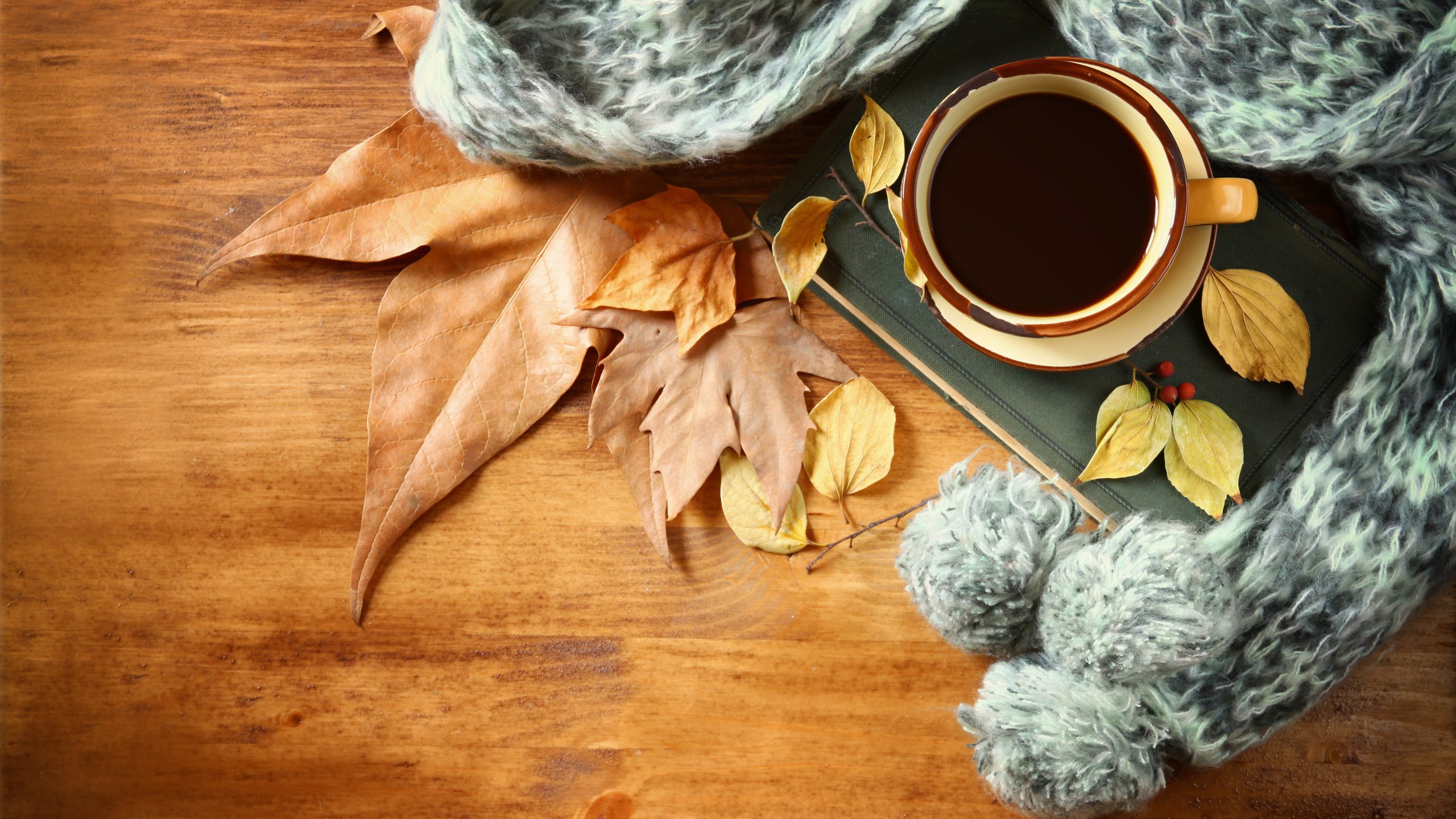 кофе и листья картинки