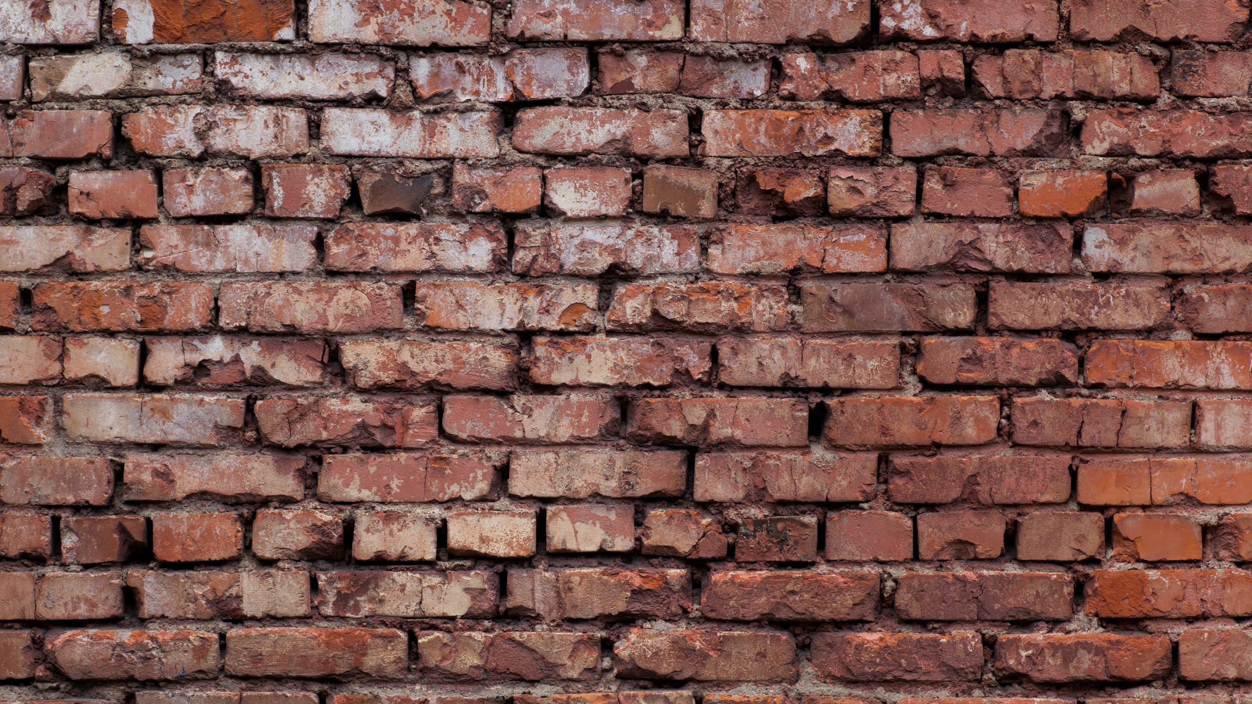 Обои красная, стена, кирпичи, краcный, red, wall, bricks разрешение 5616x3744 Загрузить