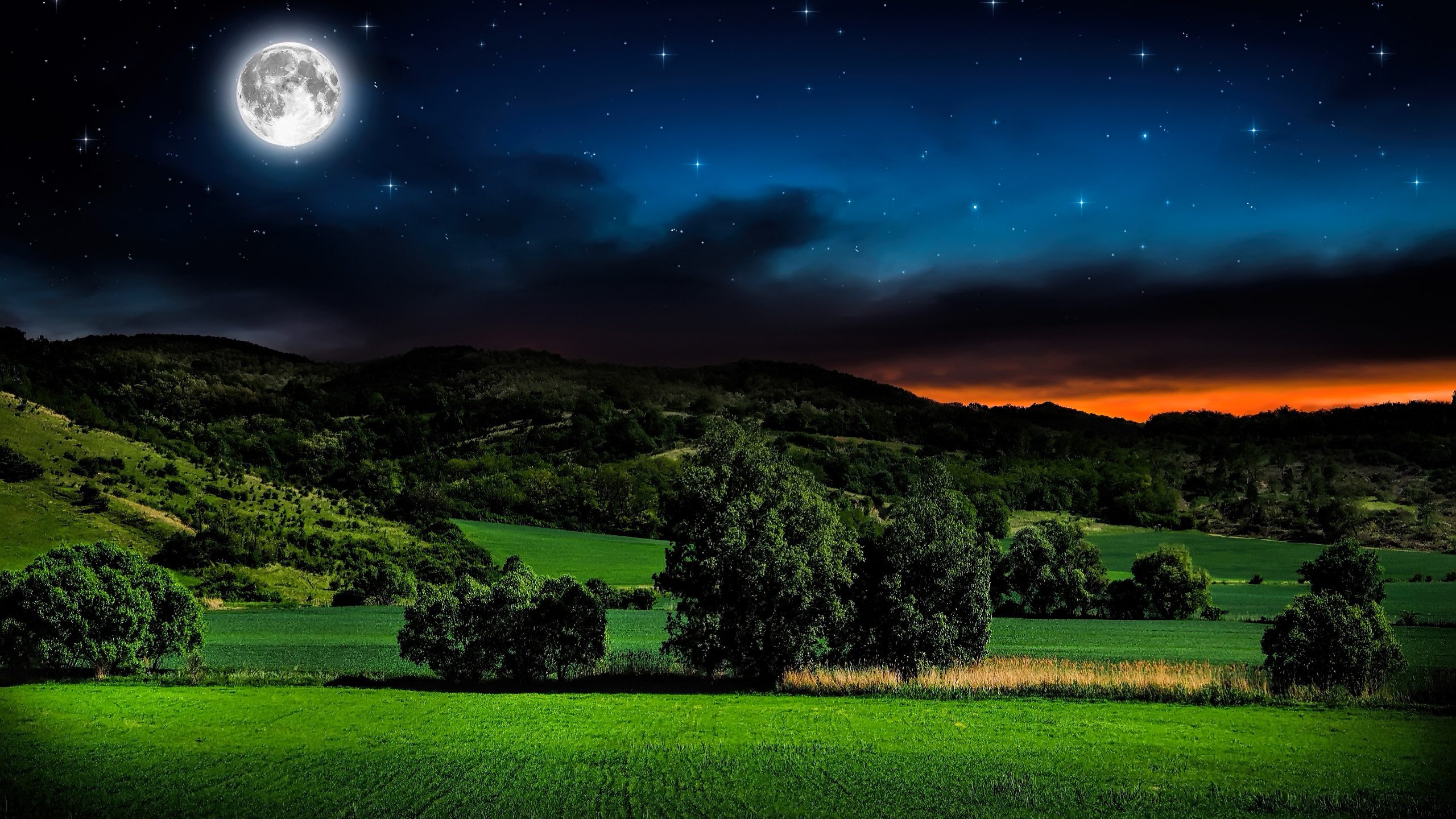 Обои небо, трава, ночь, горы, звезды, поле, горизонт, луна, the sky, grass, night, mountains, stars, field, horizon, the moon разрешение 2560x1600 Загрузить