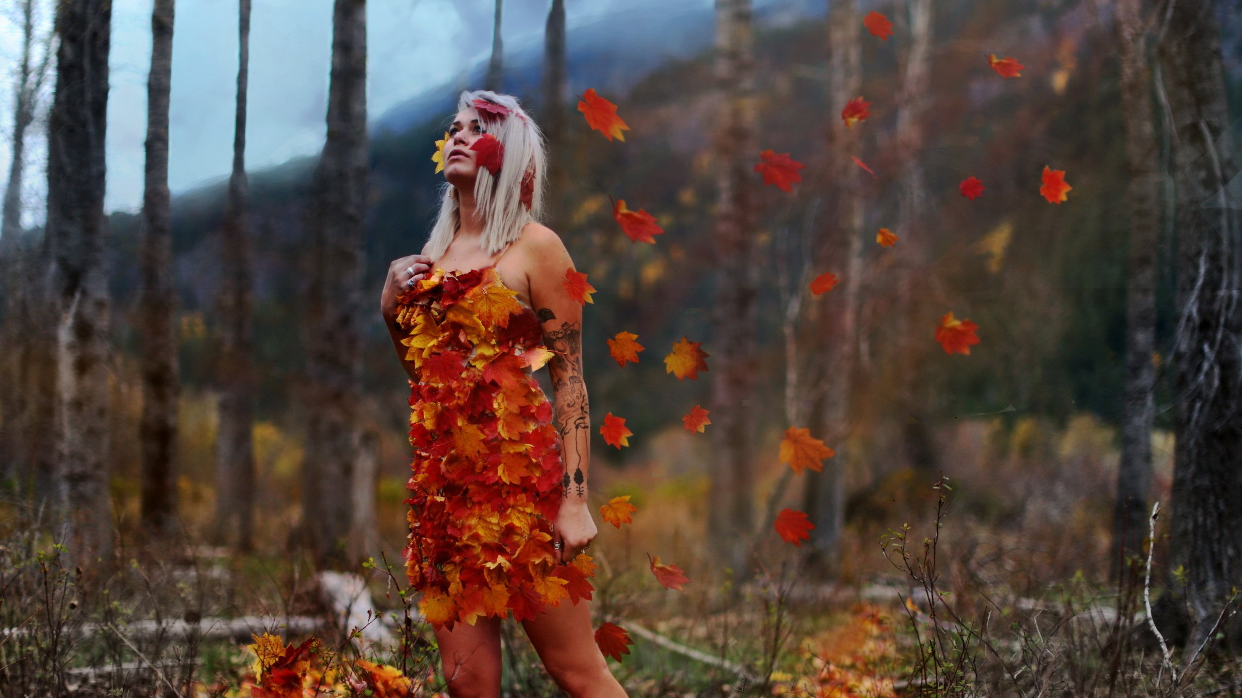 Обои арт, conceptual, облака, природа, листья, девушка, поза, осень, на природе, осен, art, clouds, nature, leaves, girl, pose, autumn разрешение 2560x1600 Загрузить