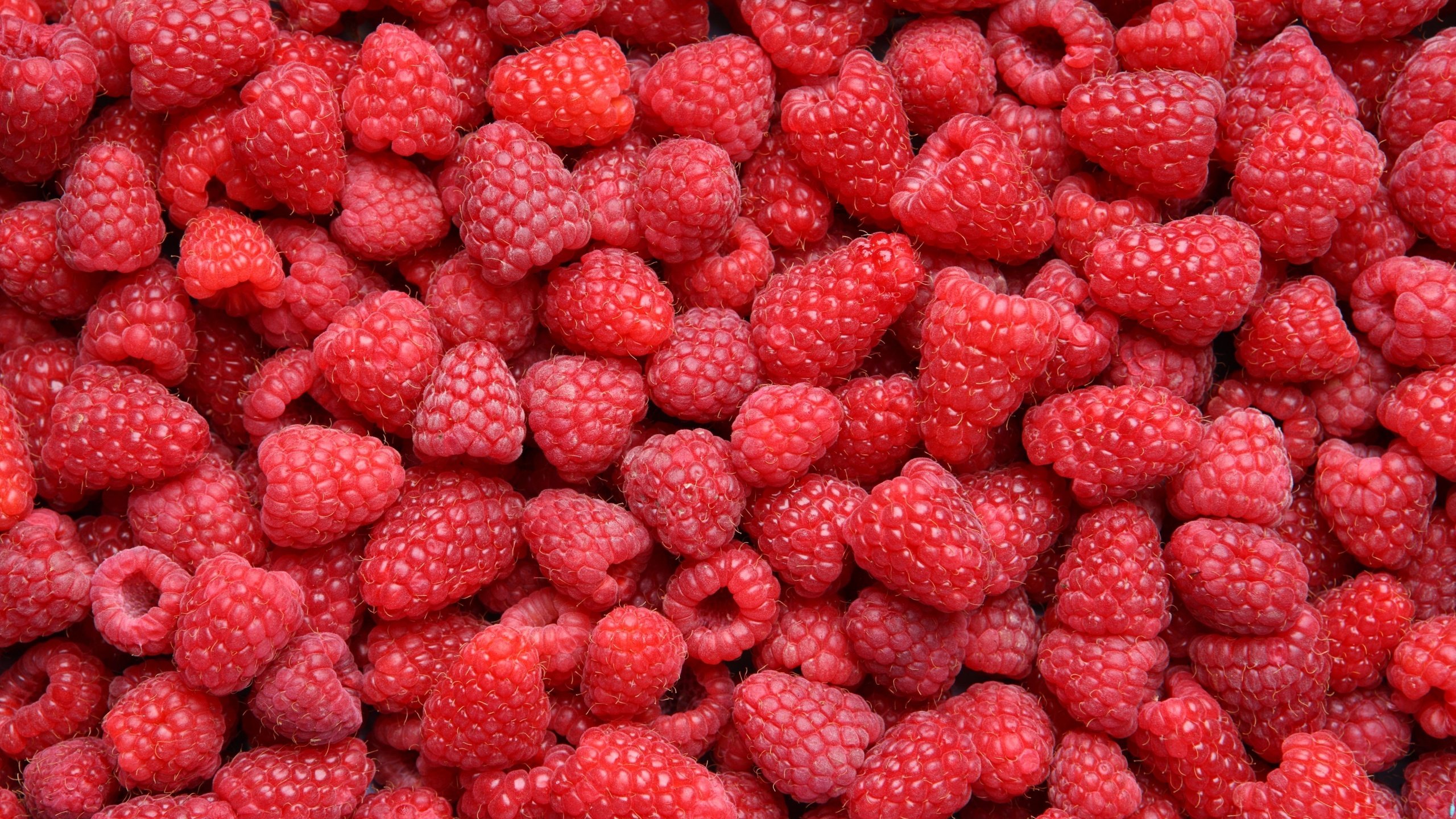 Обои малина, красная, ягоды, много, raspberry, red, berries, a lot разрешение 4600x3026 Загрузить