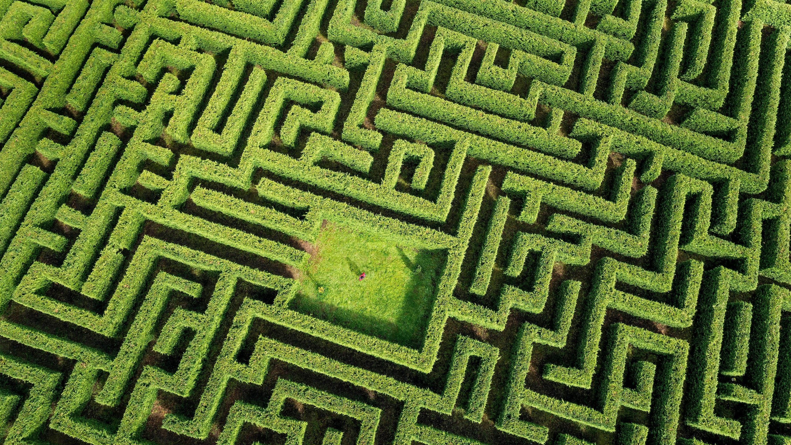 Обои зелень, растения, лабиринт, человек, greens, plants, maze, people разрешение 4320x2592 Загрузить